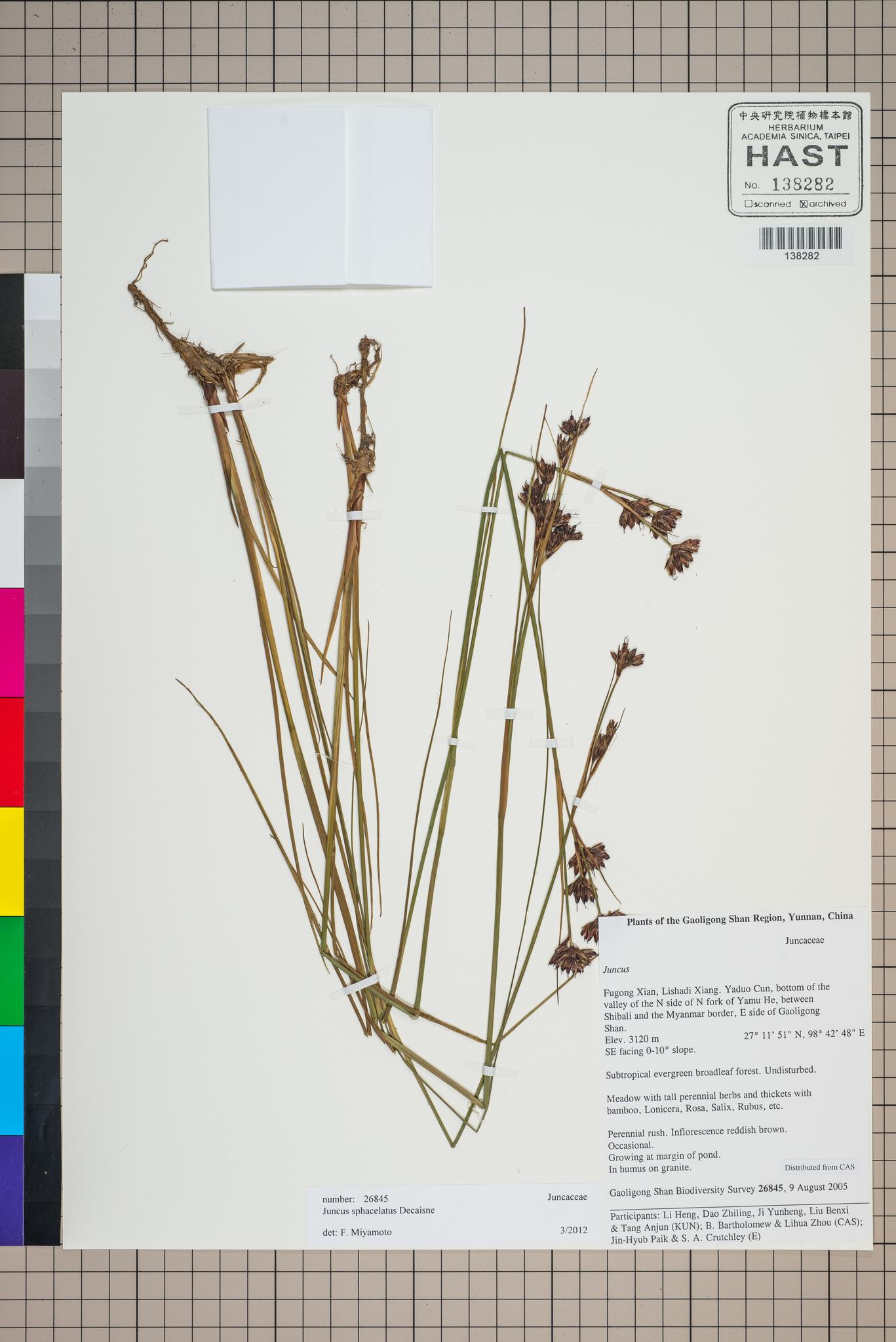 Sample image for viewer