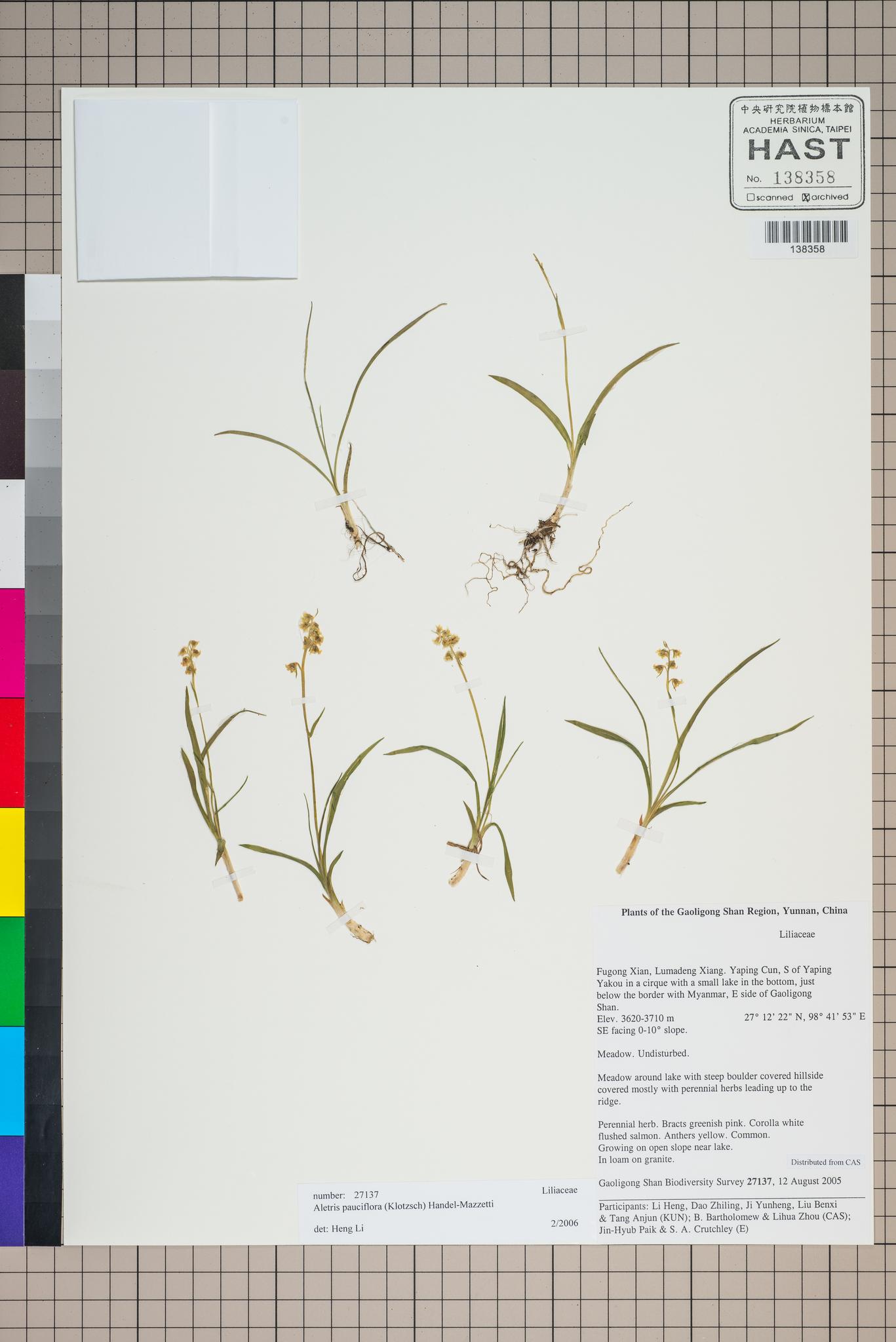 Sample image for viewer