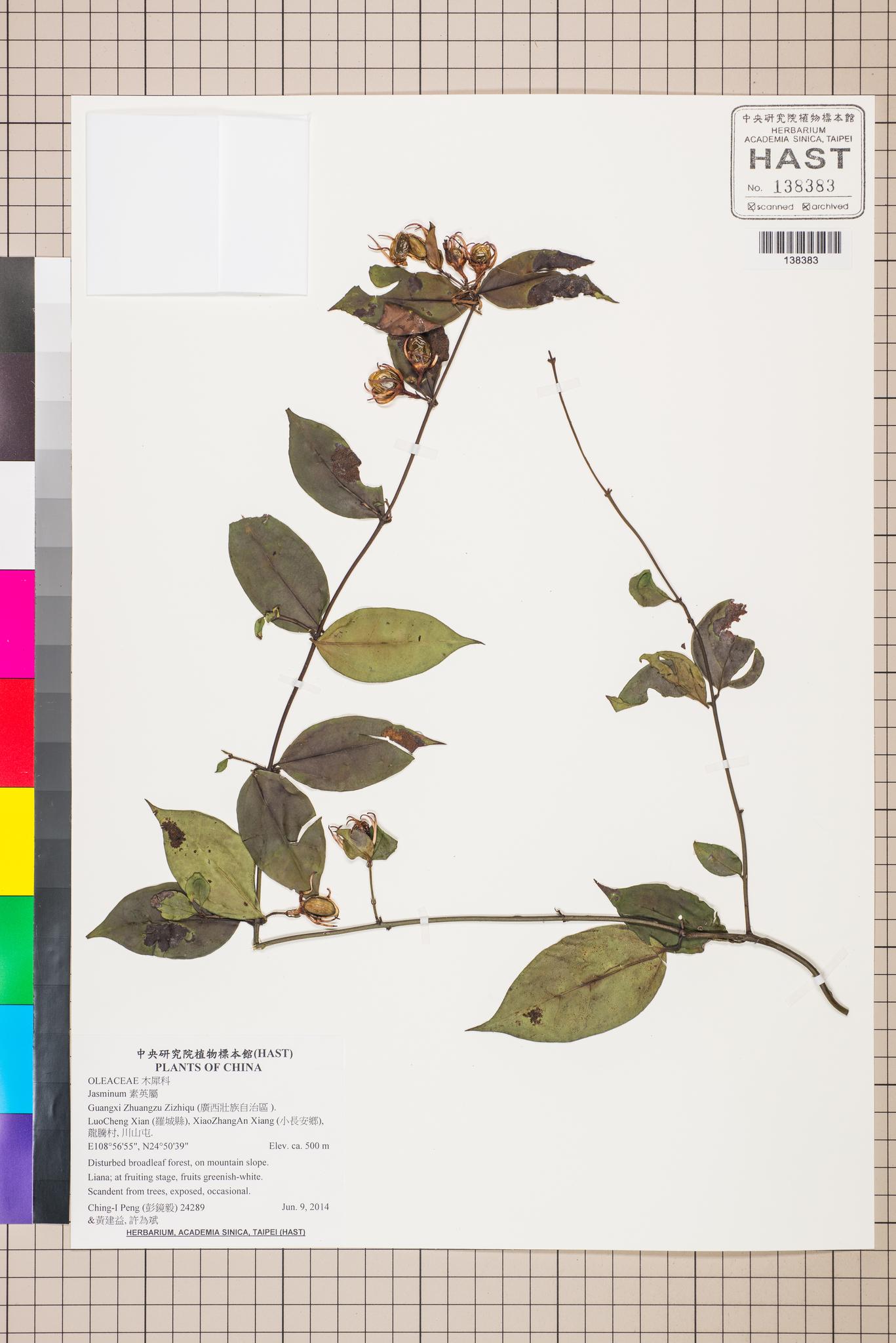 Sample image for viewer