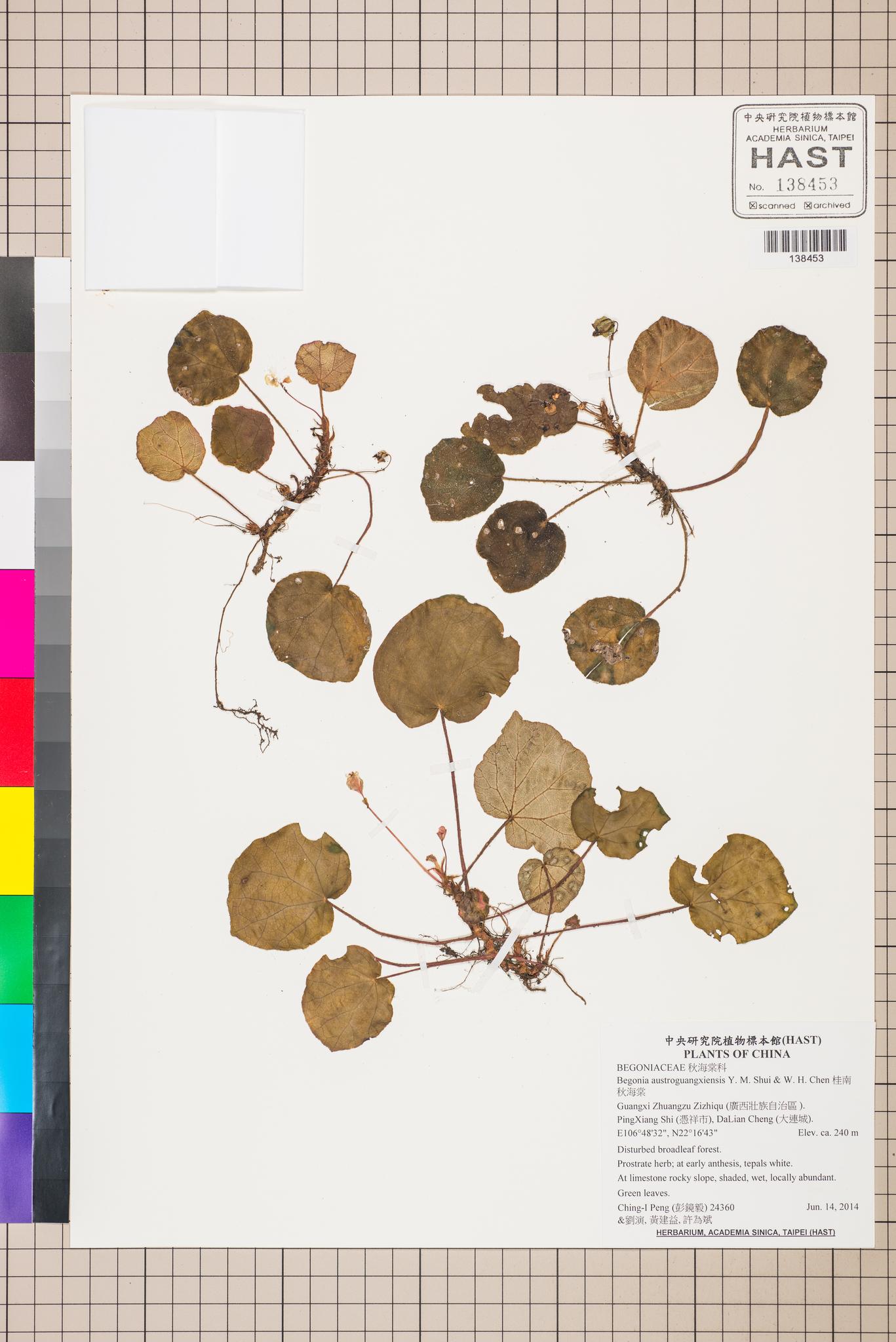 Sample image for viewer