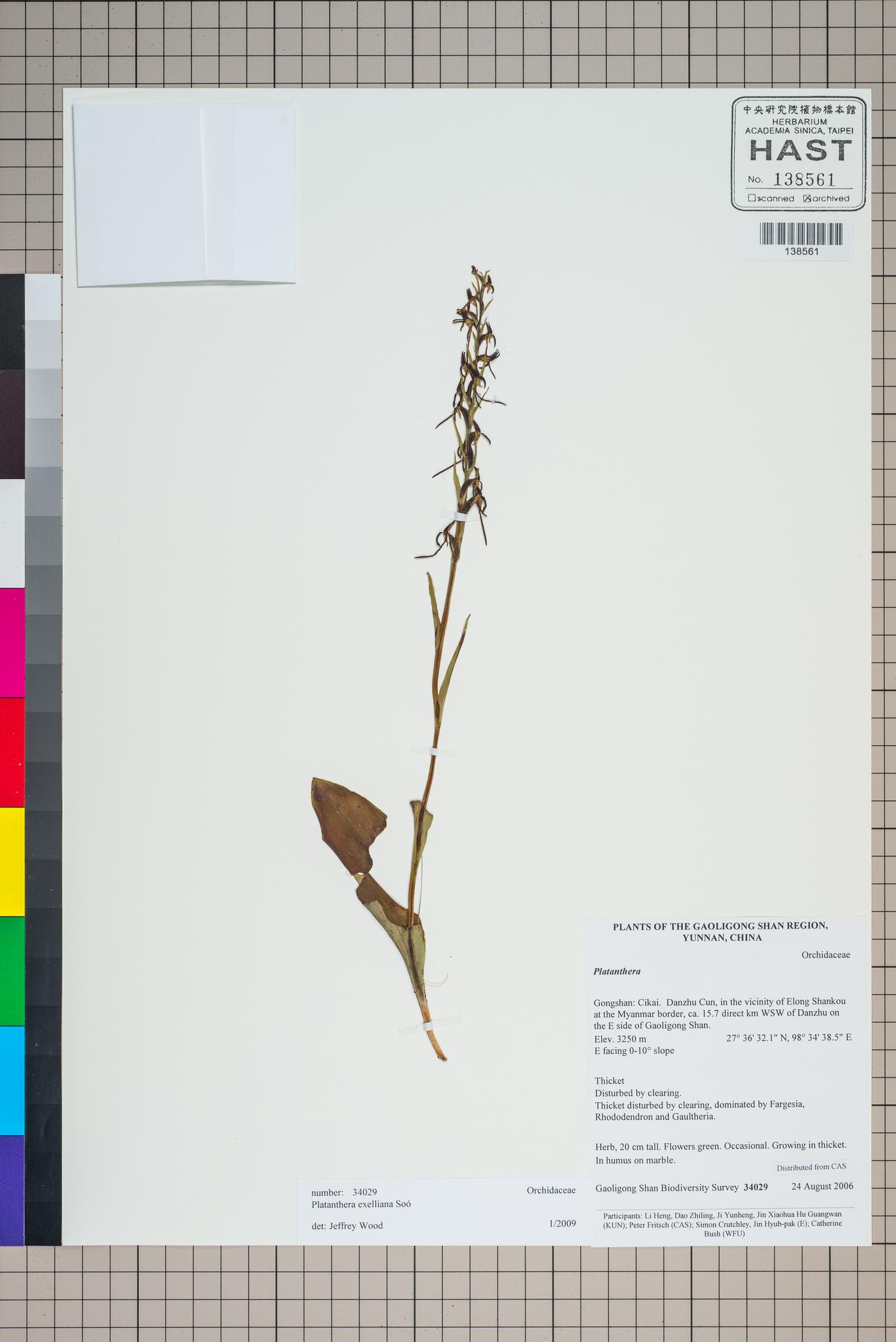 Sample image for viewer