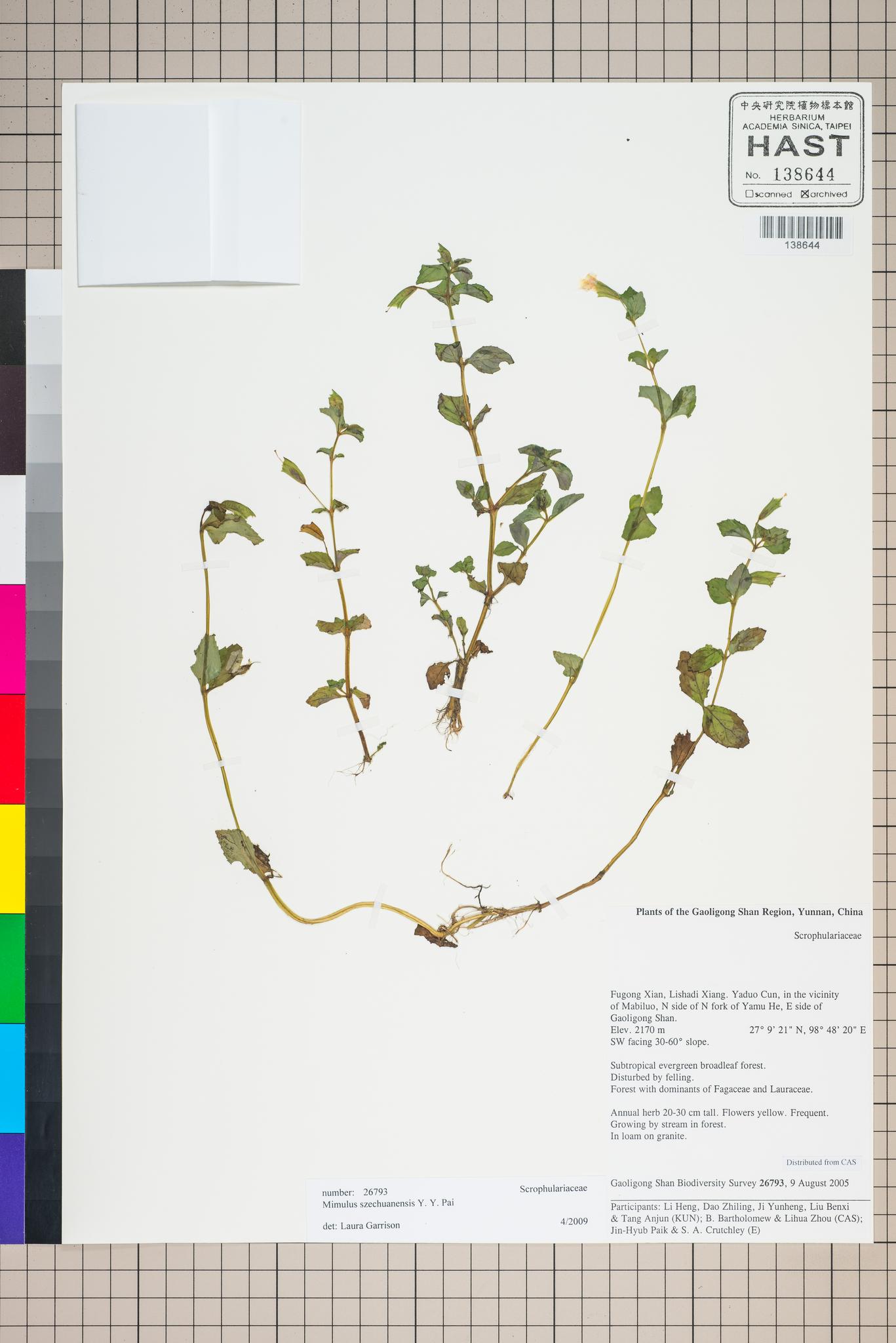 Sample image for viewer