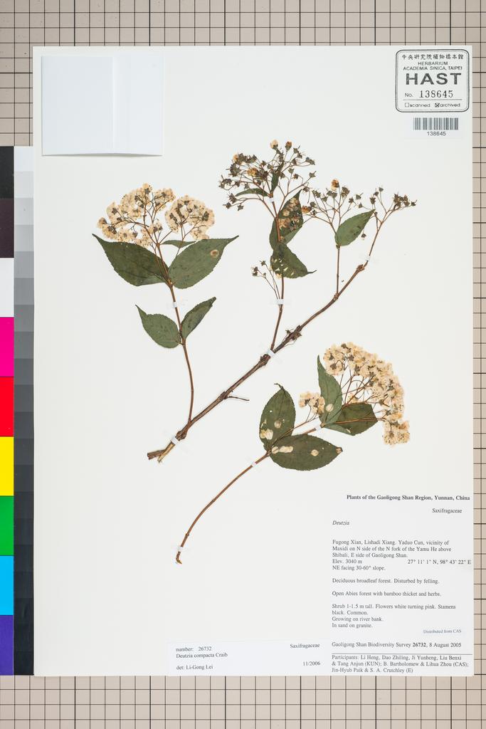 <Unit #127045 Gaoligong Shan Biodiversity Survey | 26732:: | Deutzia compacta Craib>