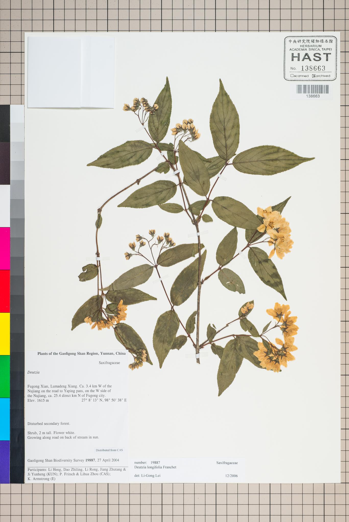 Sample image for viewer