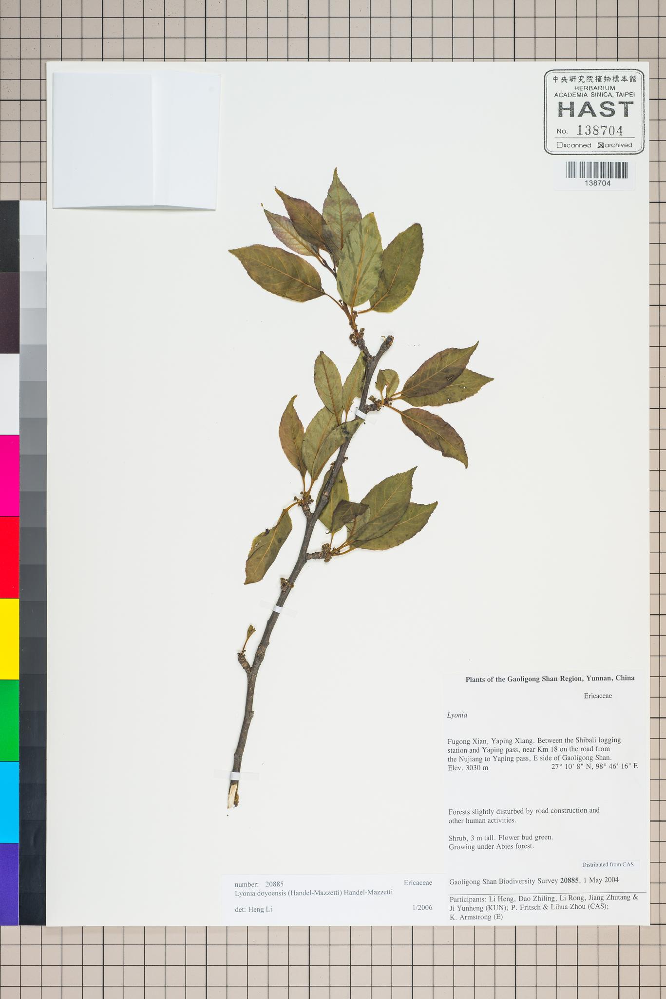 Sample image for viewer