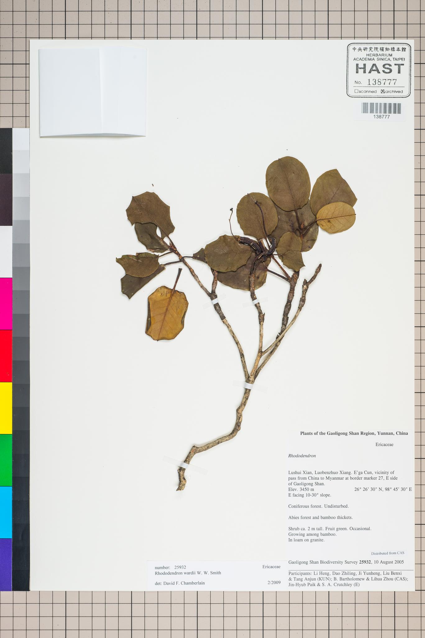 Sample image for viewer