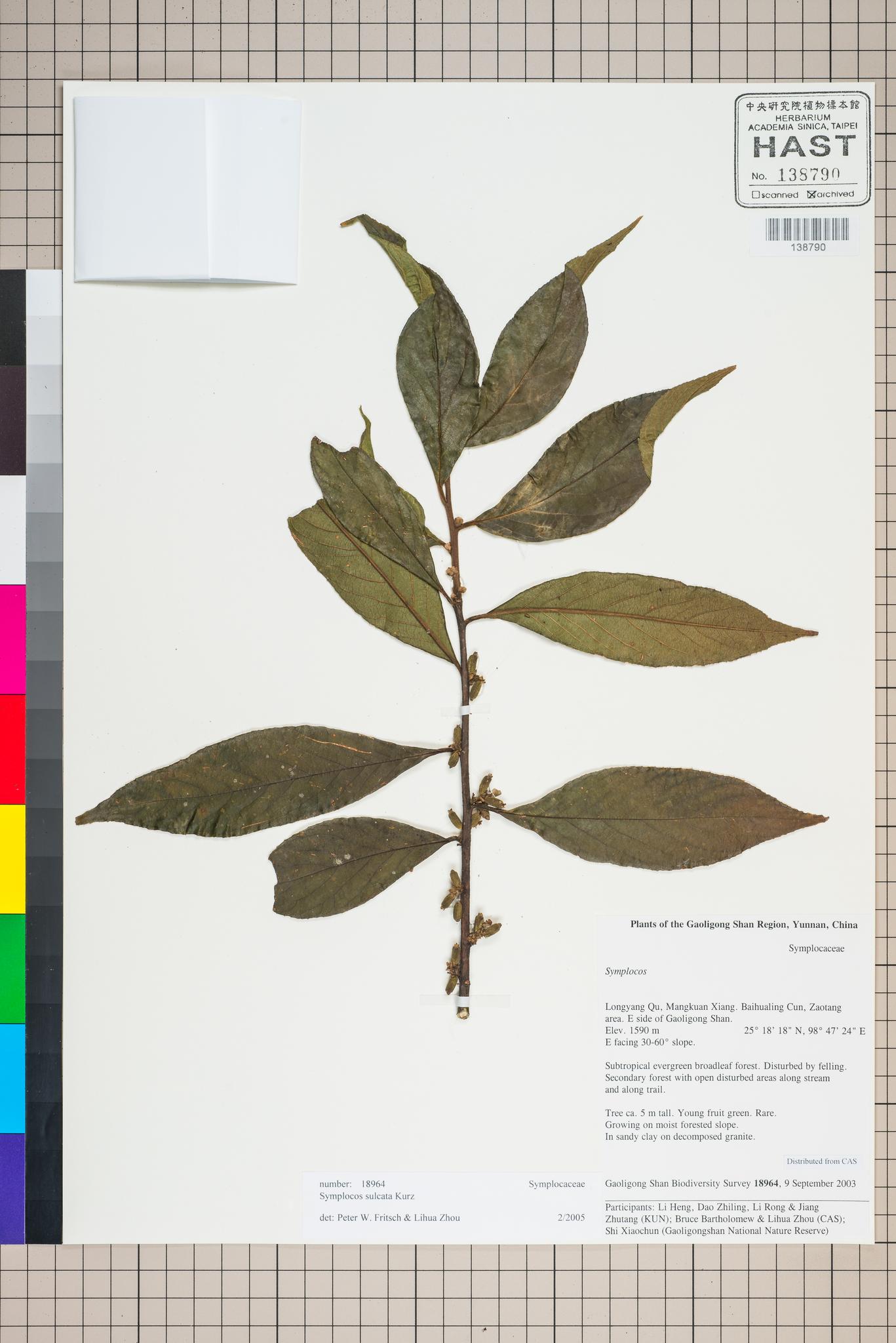 Sample image for viewer