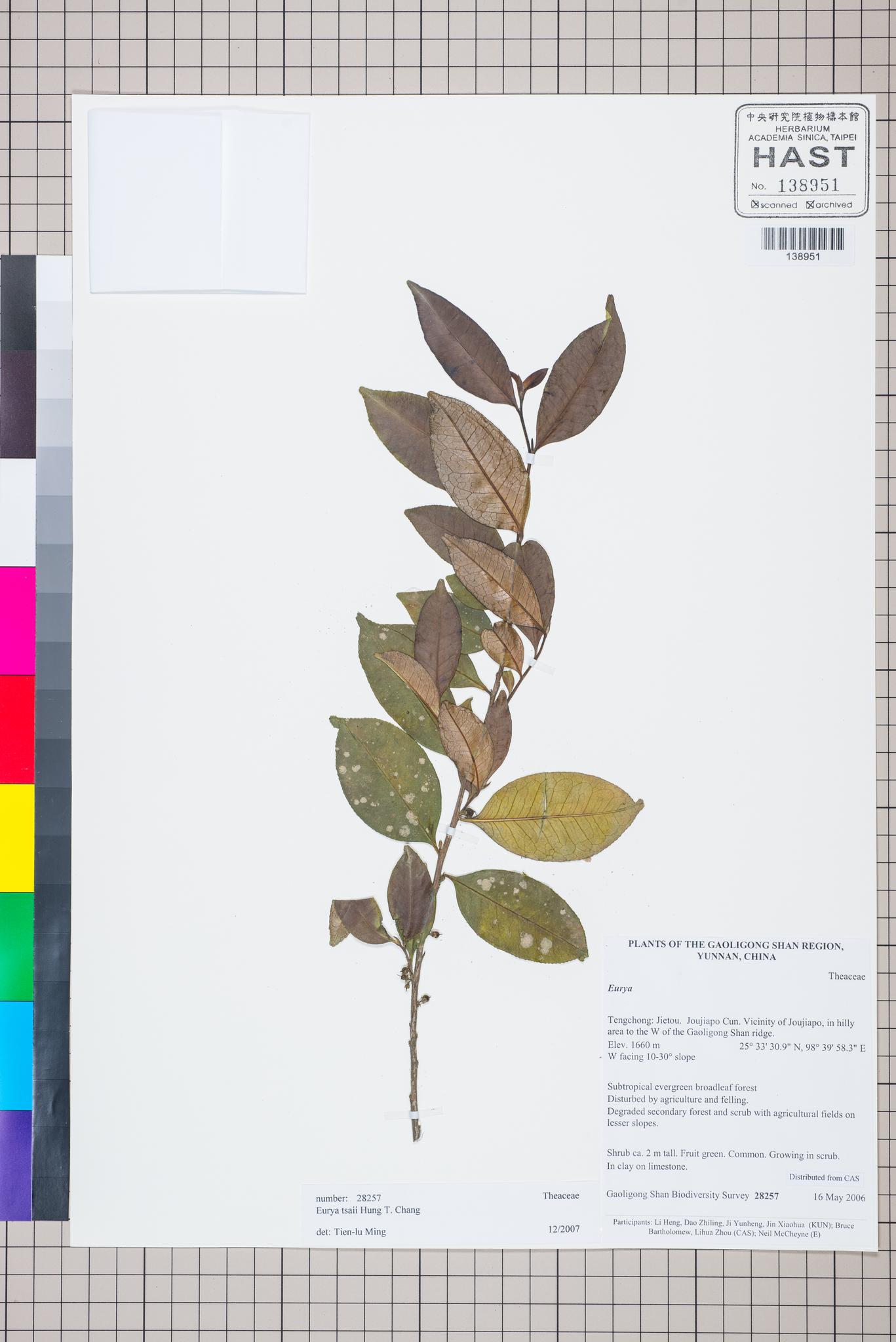 Sample image for viewer