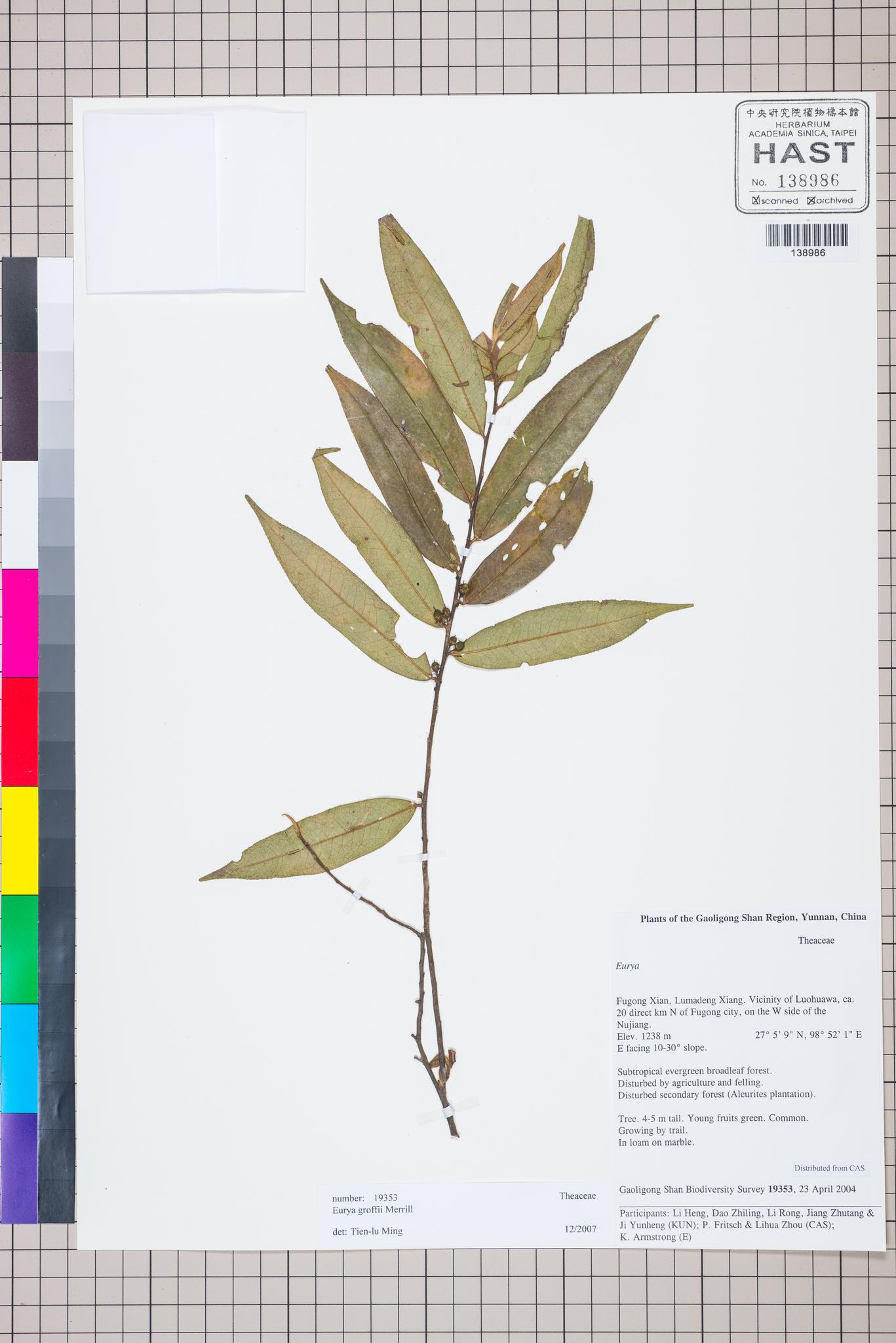 Sample image for viewer