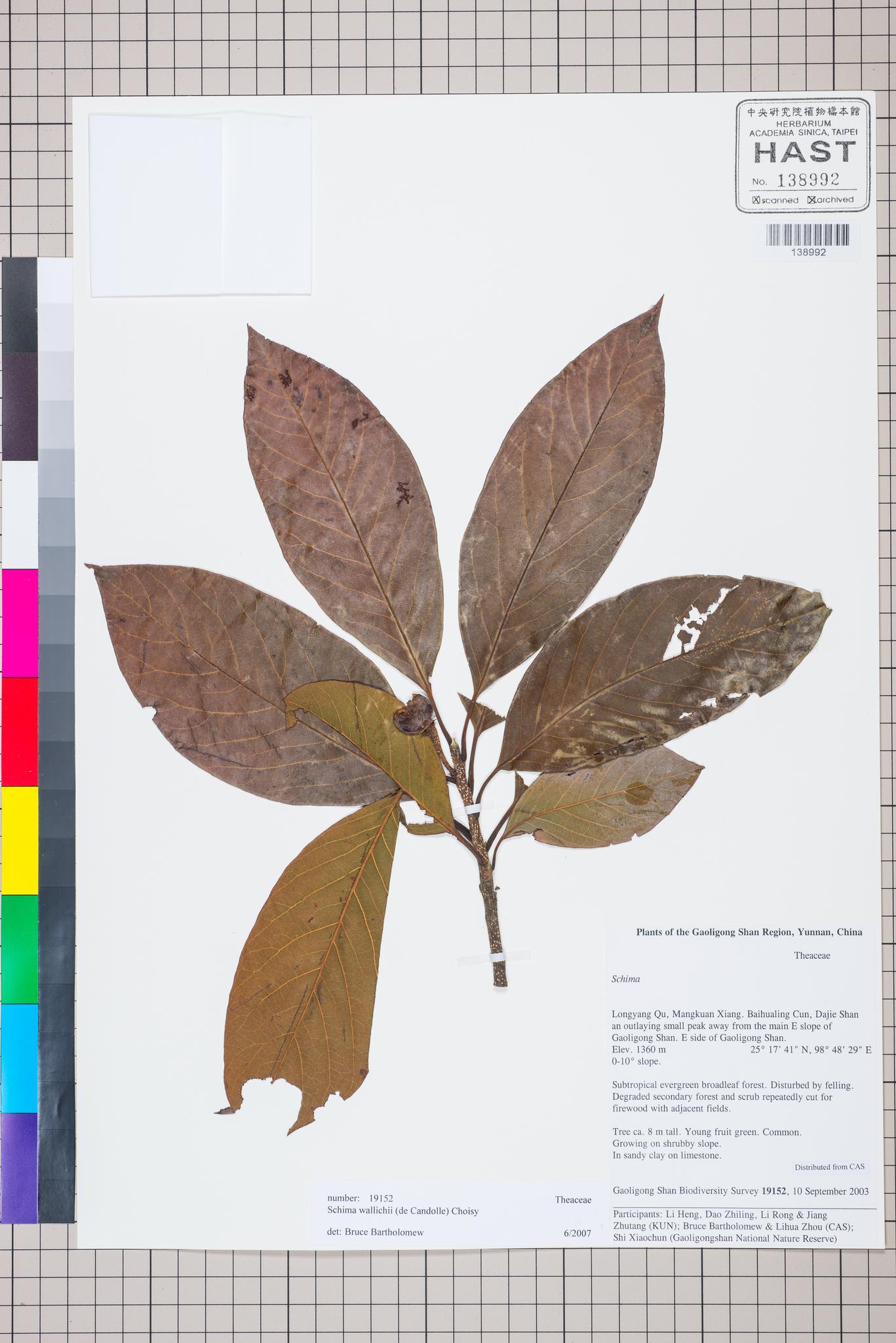 Sample image for viewer