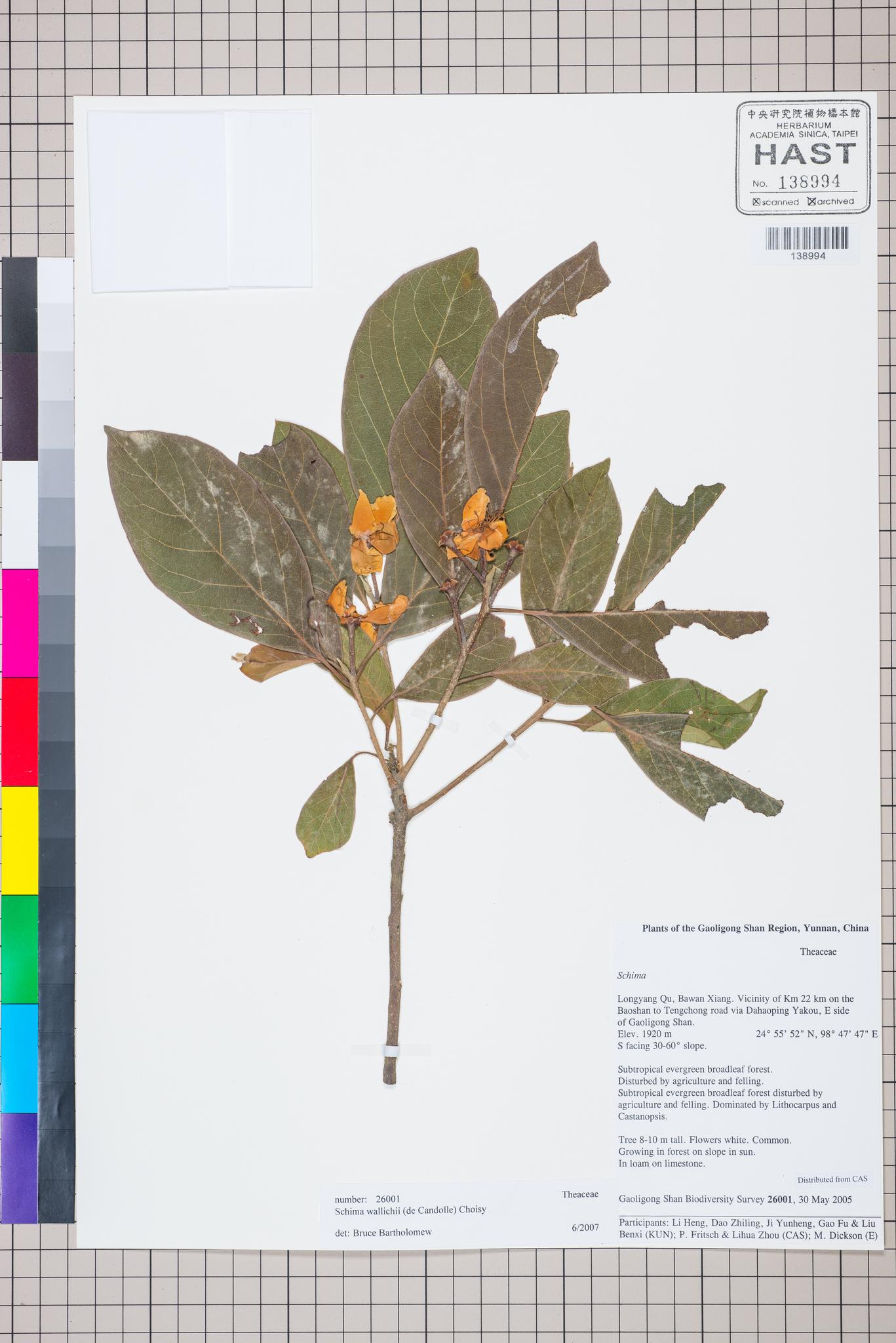 Sample image for viewer