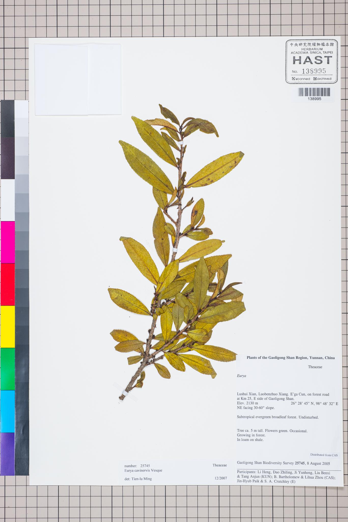 Sample image for viewer