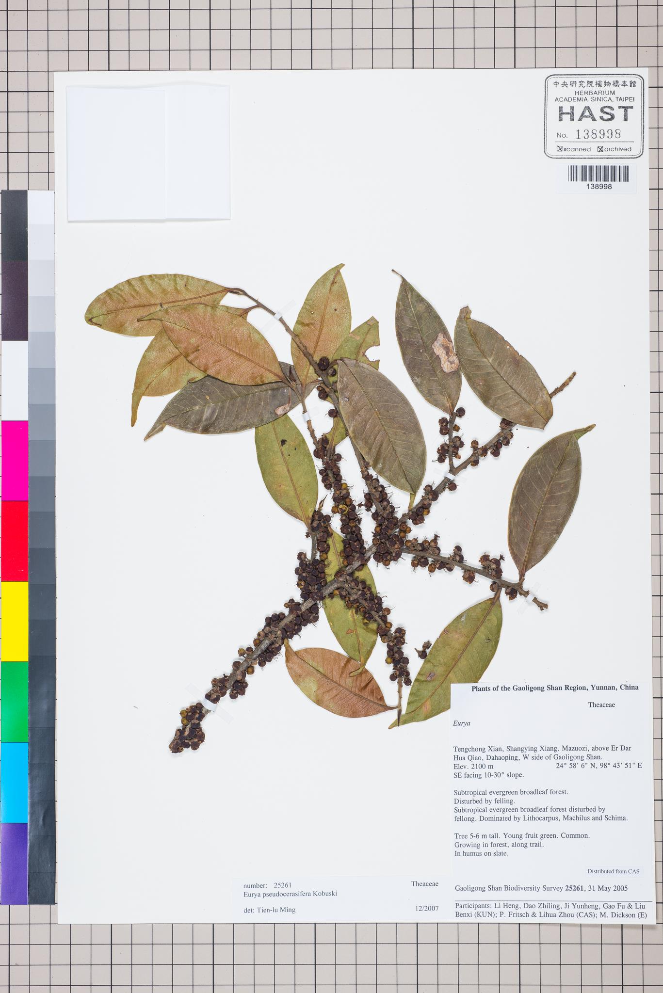 Sample image for viewer