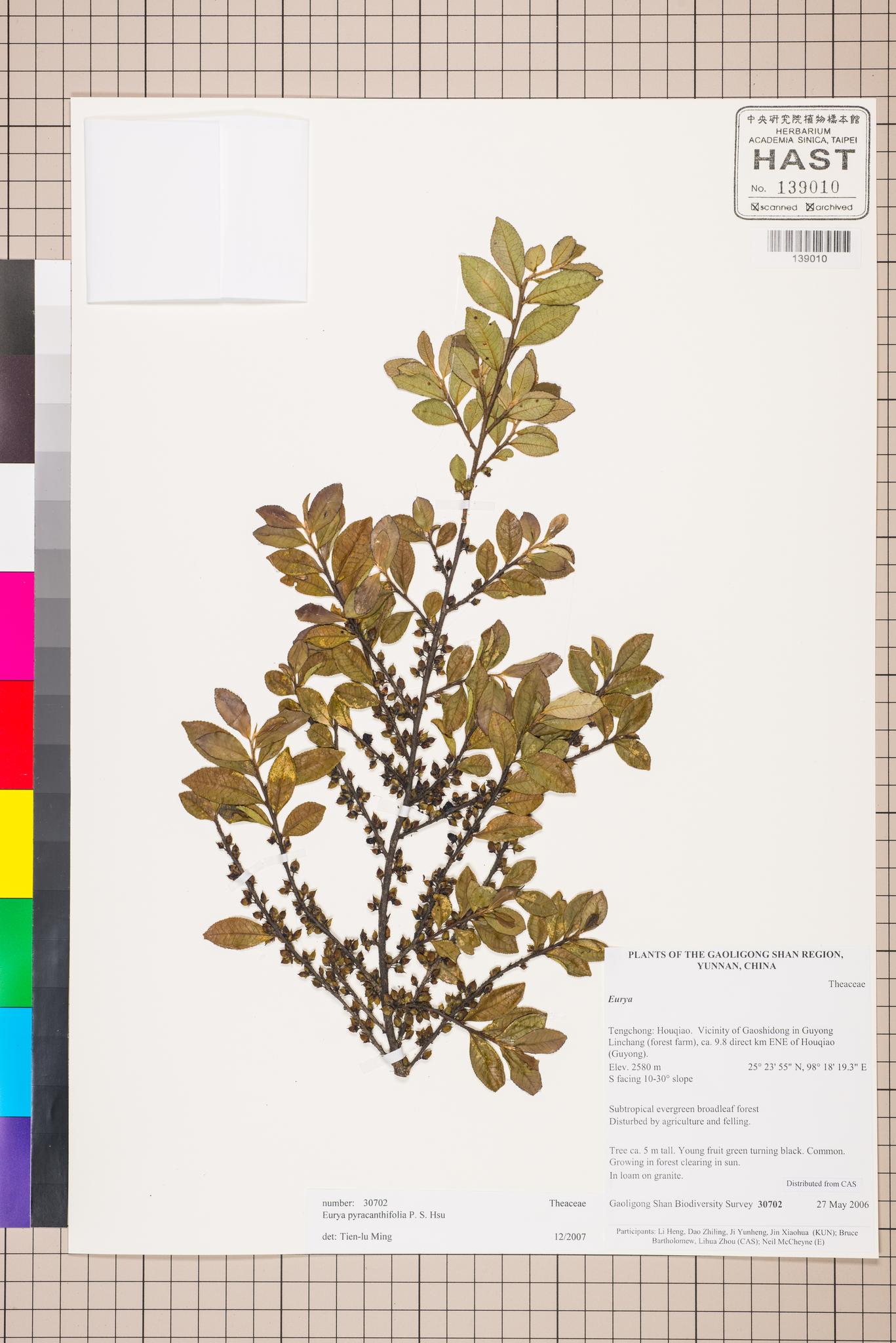 Sample image for viewer