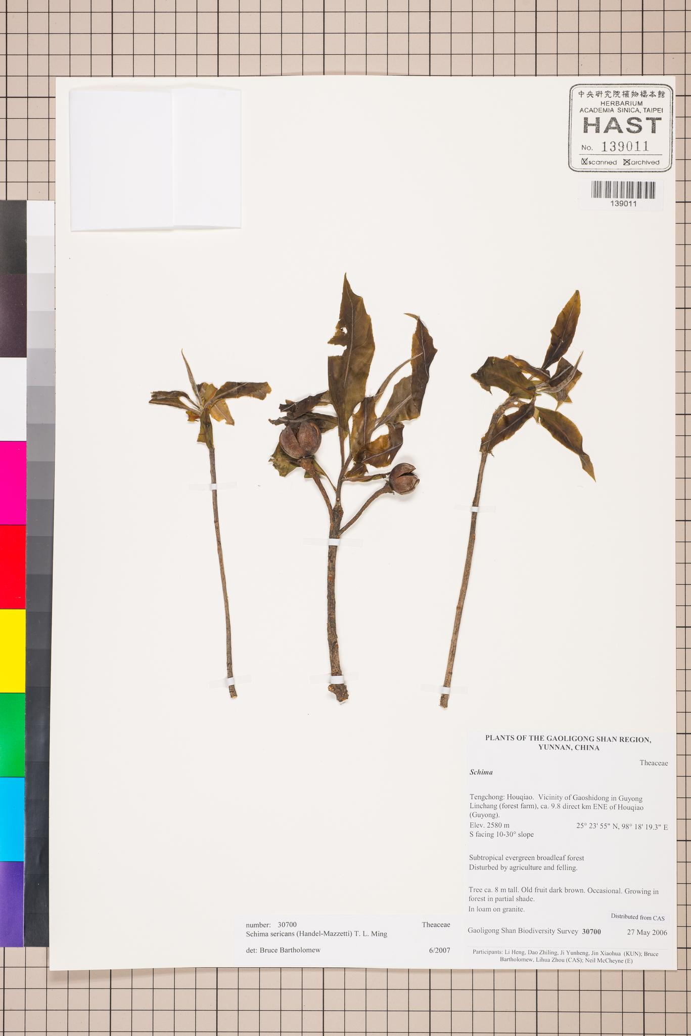 Sample image for viewer