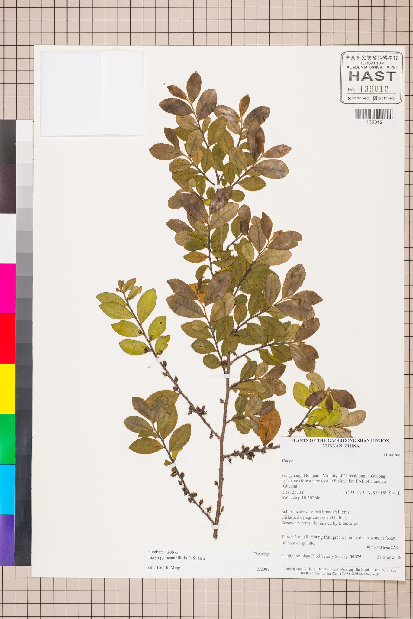 Sample image for viewer