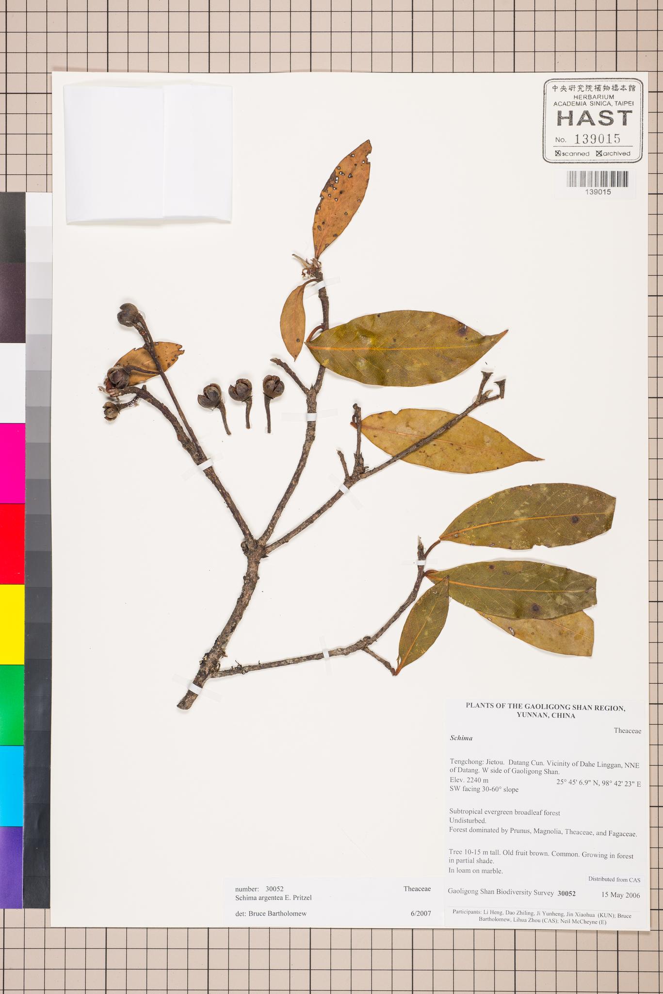 Sample image for viewer