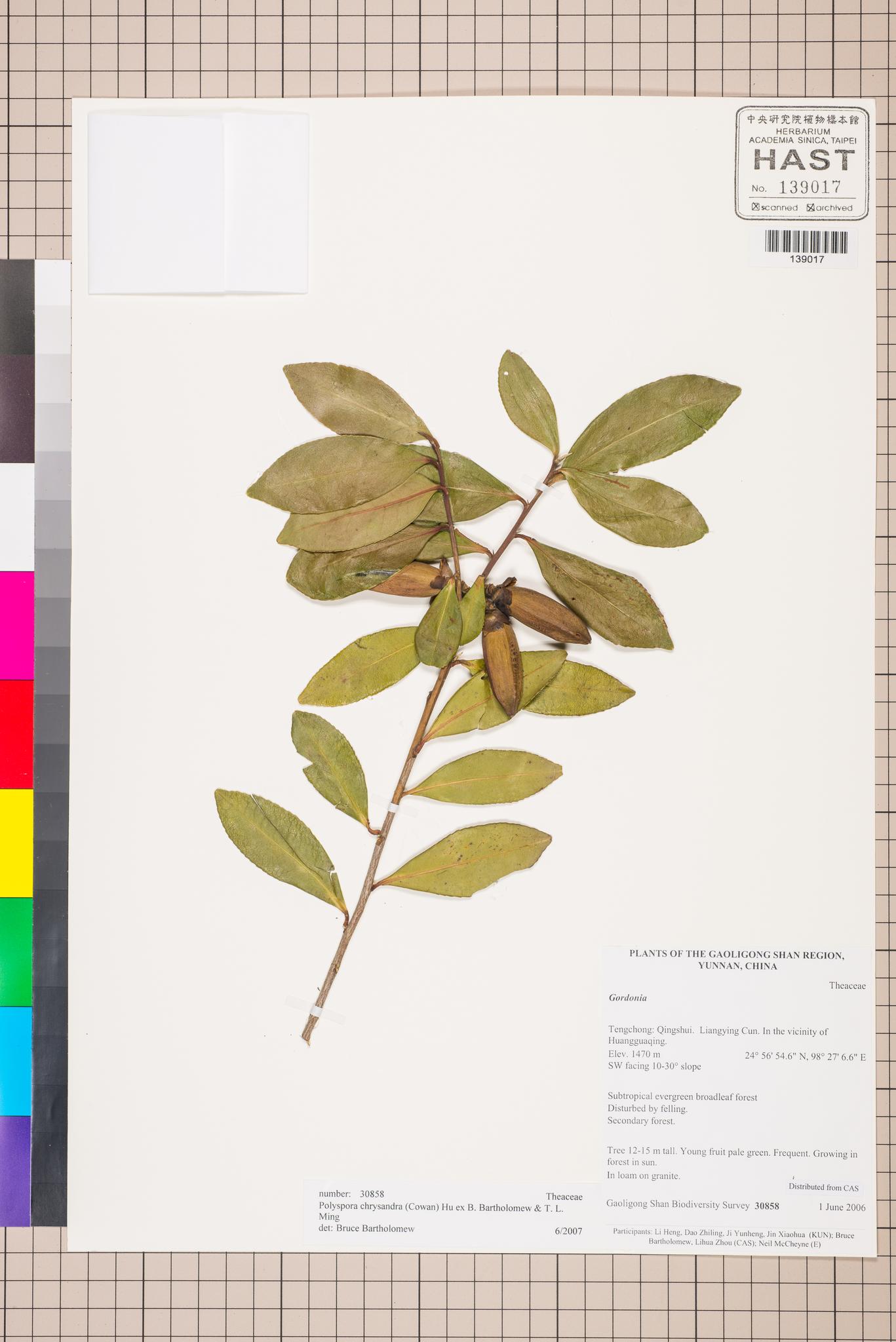 Sample image for viewer