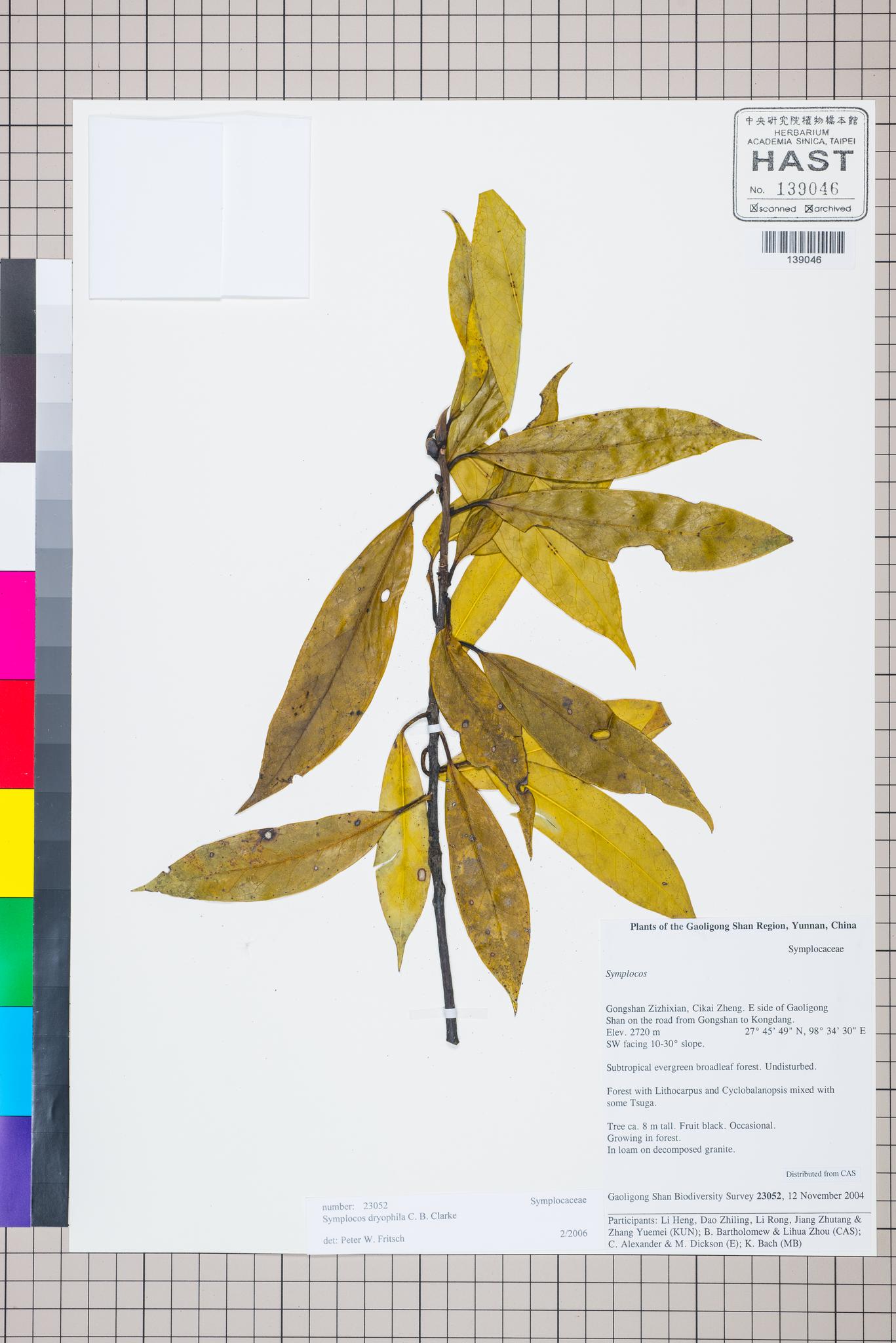 Sample image for viewer