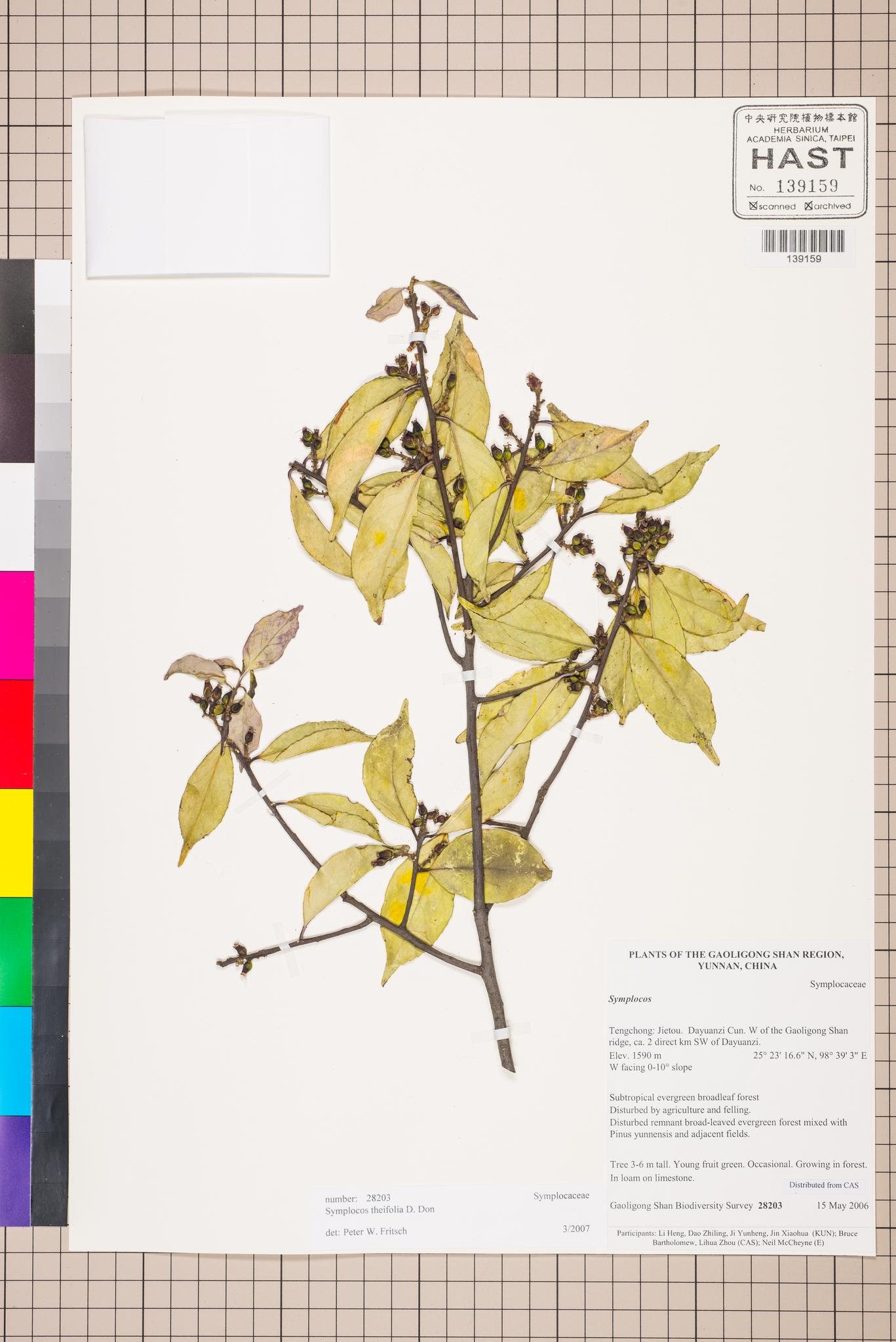 Sample image for viewer