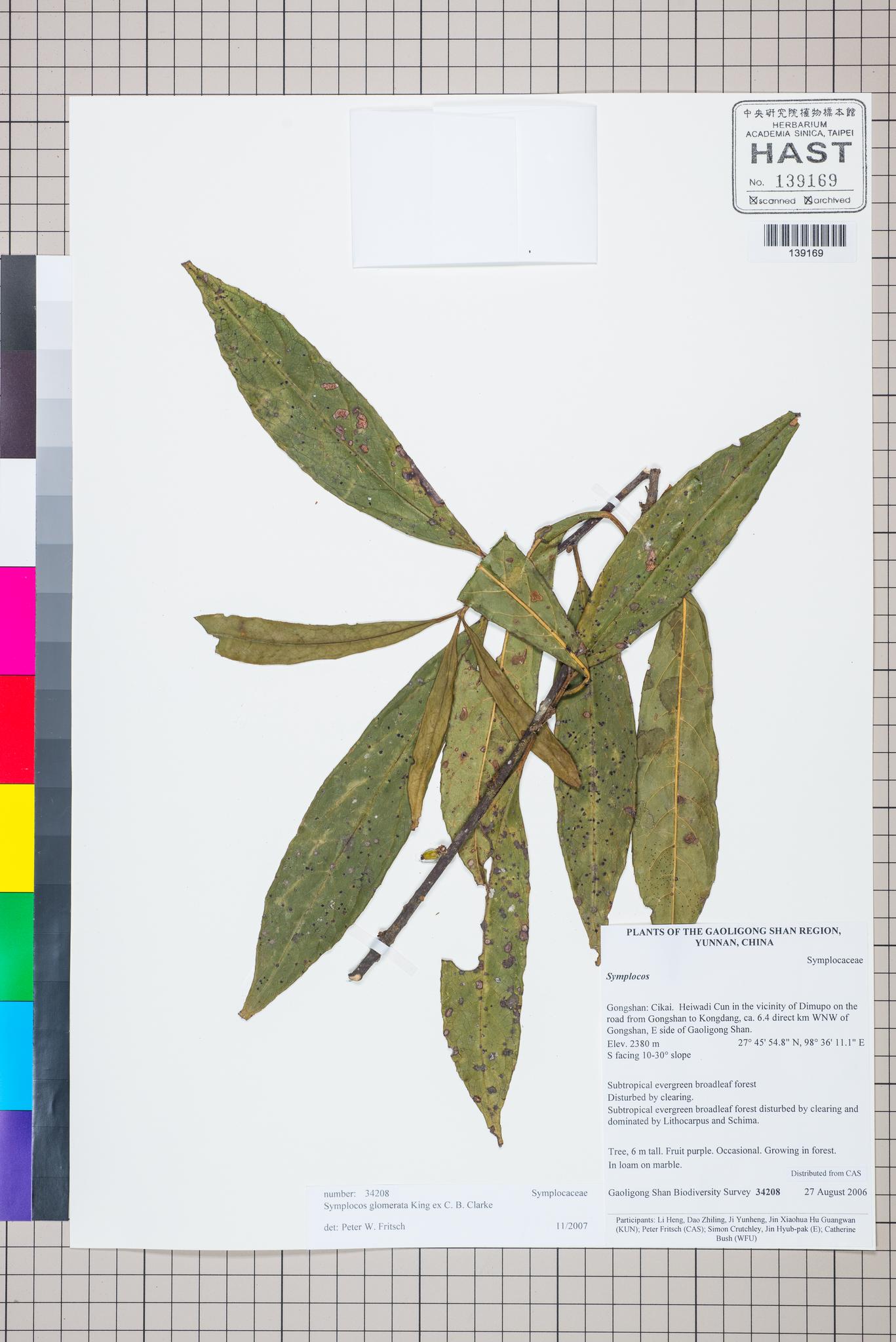 Sample image for viewer