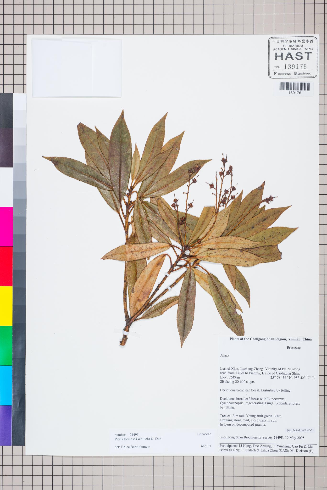 Sample image for viewer