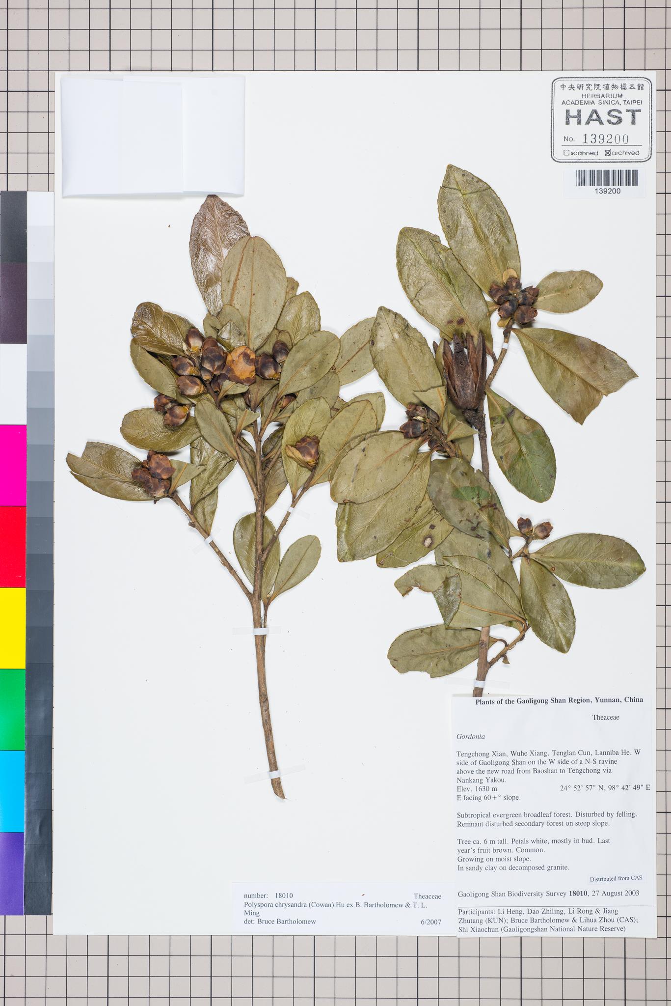 Sample image for viewer