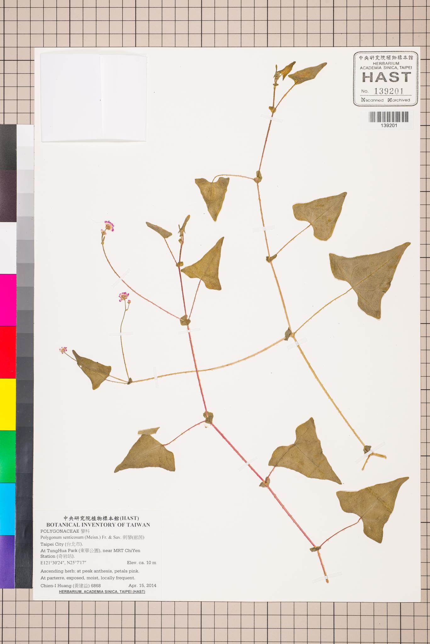 Sample image for viewer