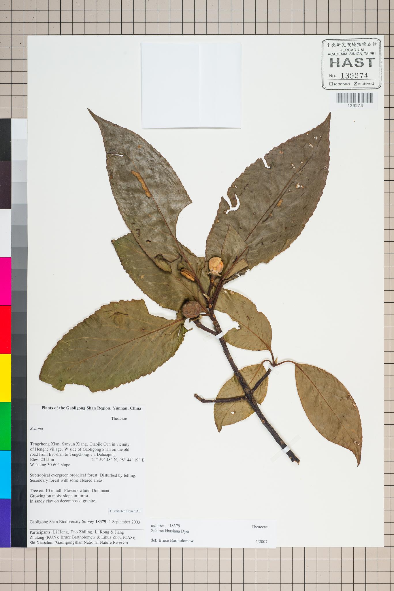 Sample image for viewer