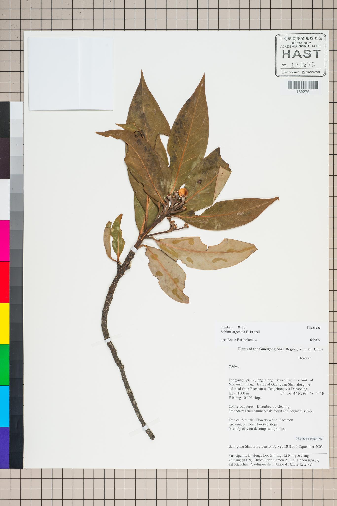 Sample image for viewer