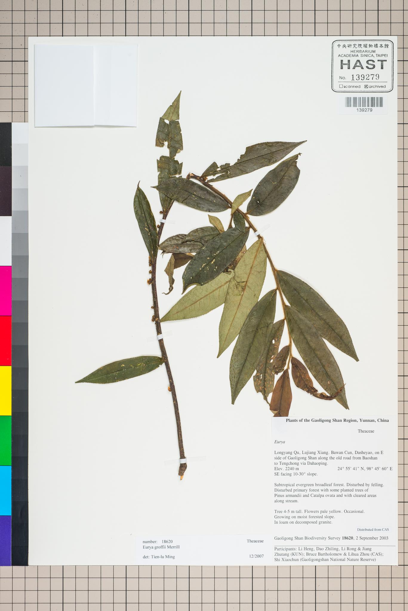 Sample image for viewer