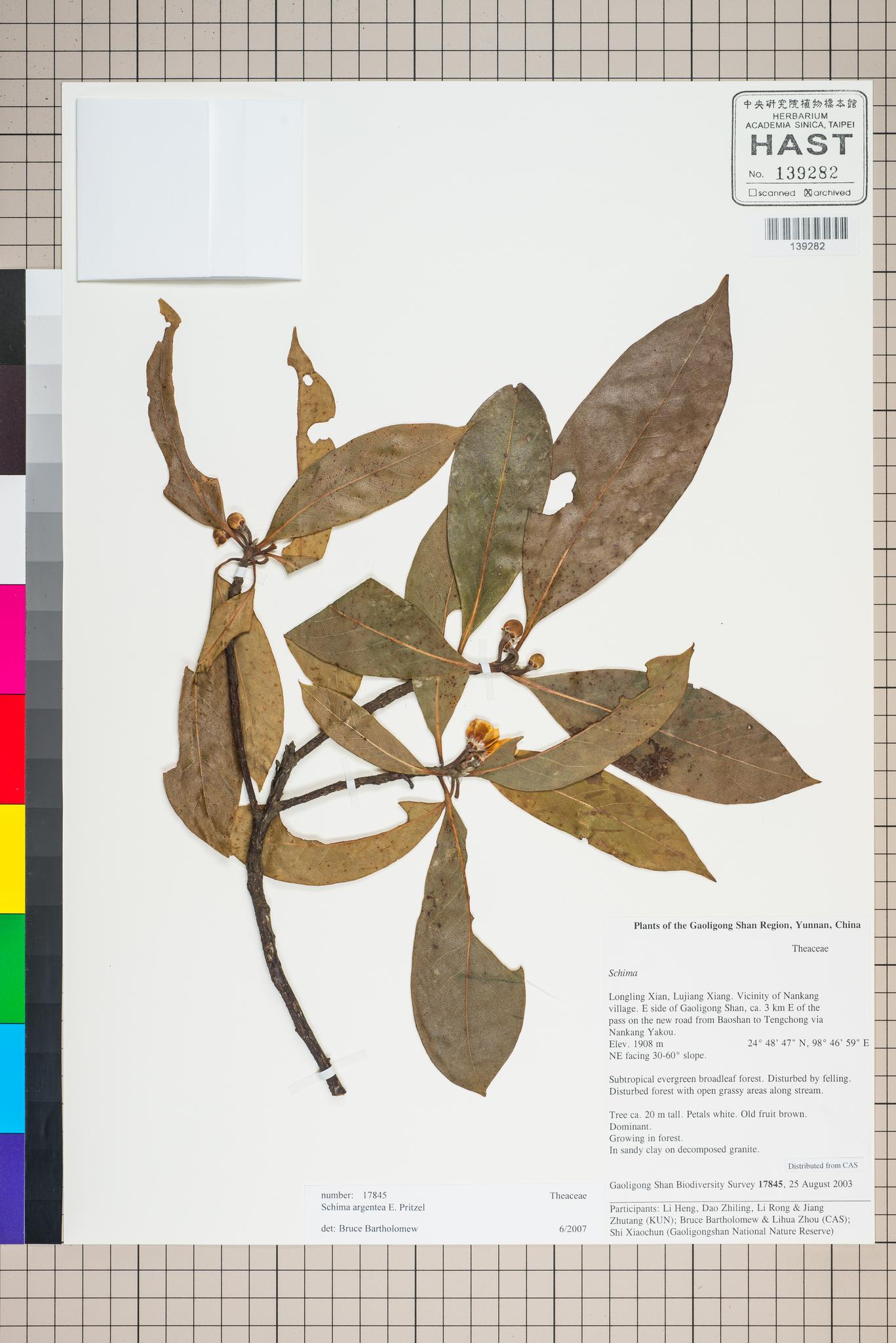 Sample image for viewer