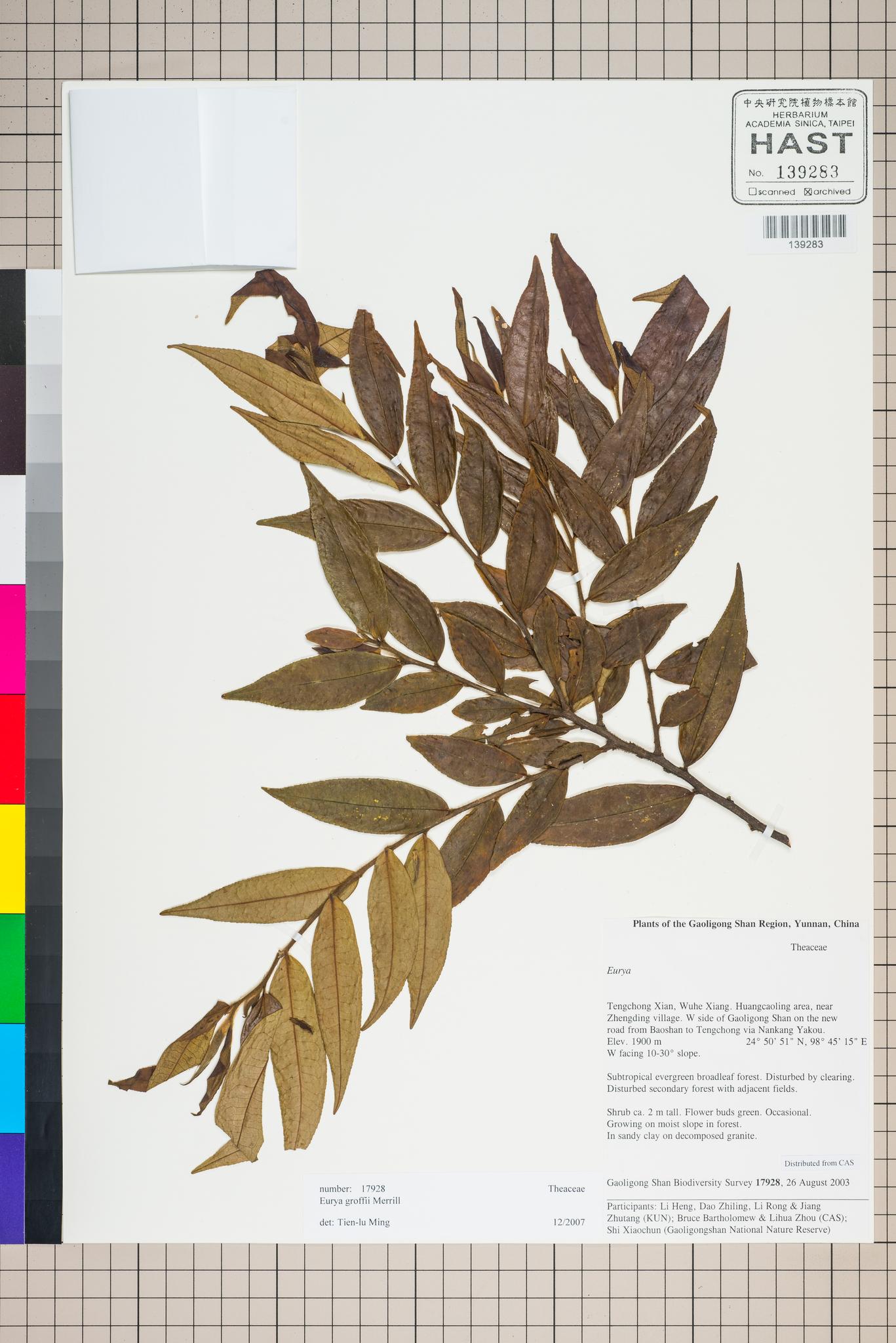 Sample image for viewer