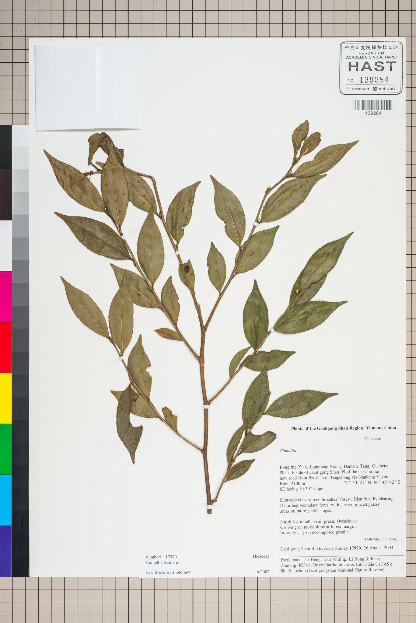 Sample image for viewer