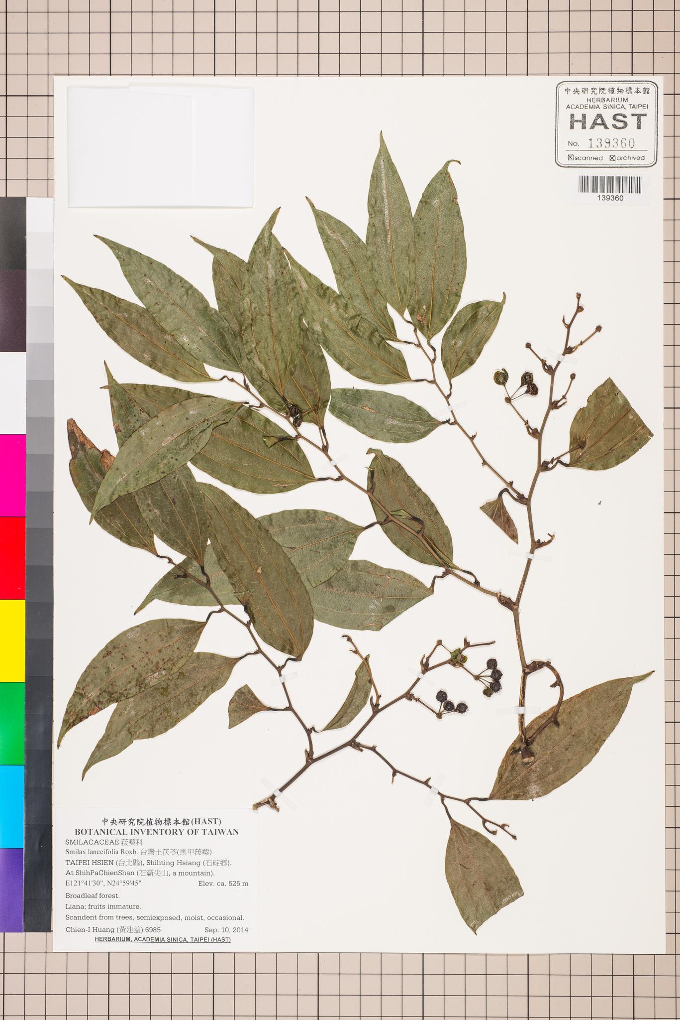 Sample image for viewer