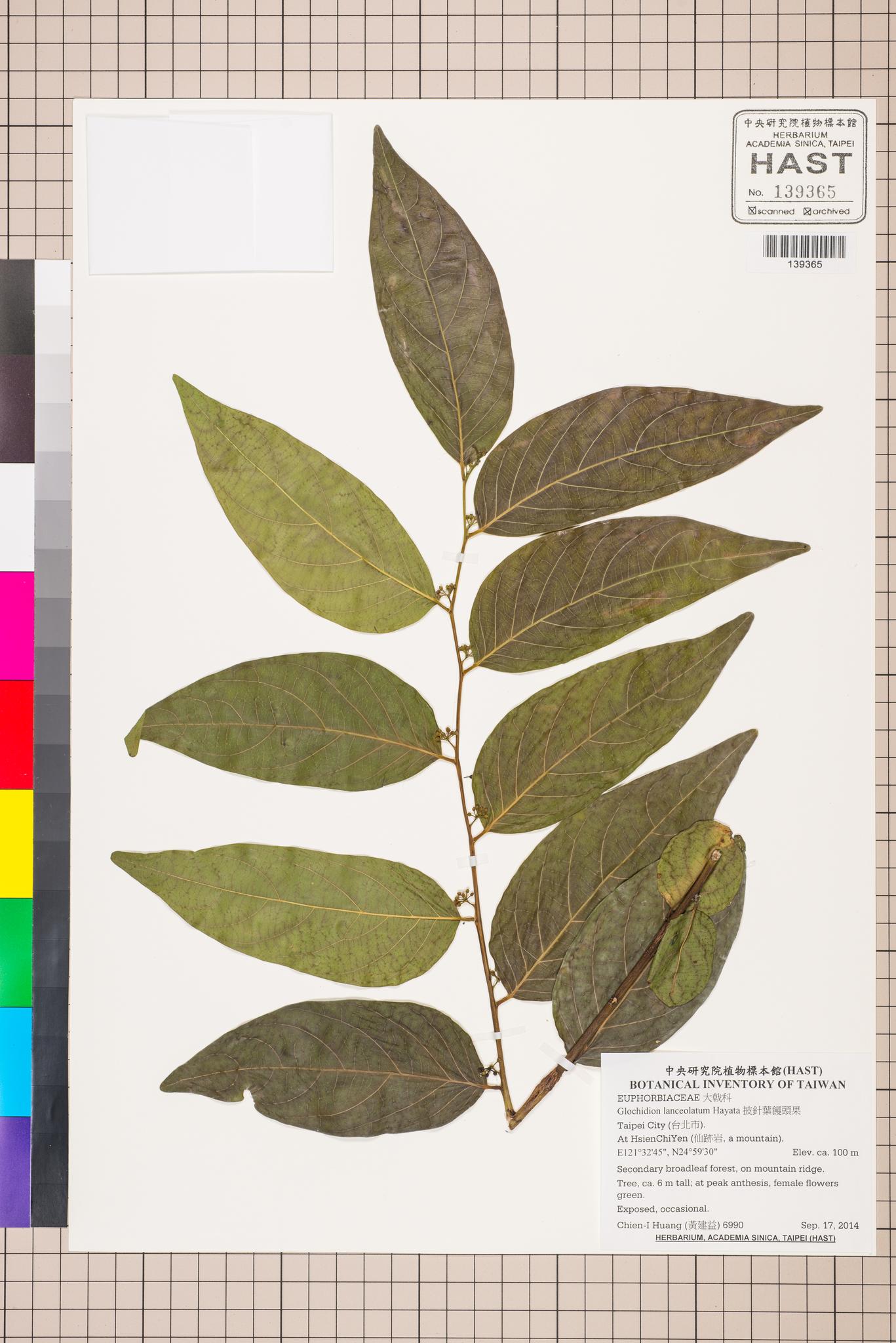 Sample image for viewer