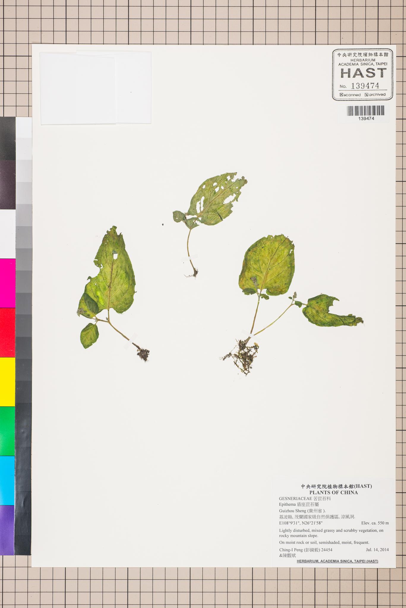 Sample image for viewer