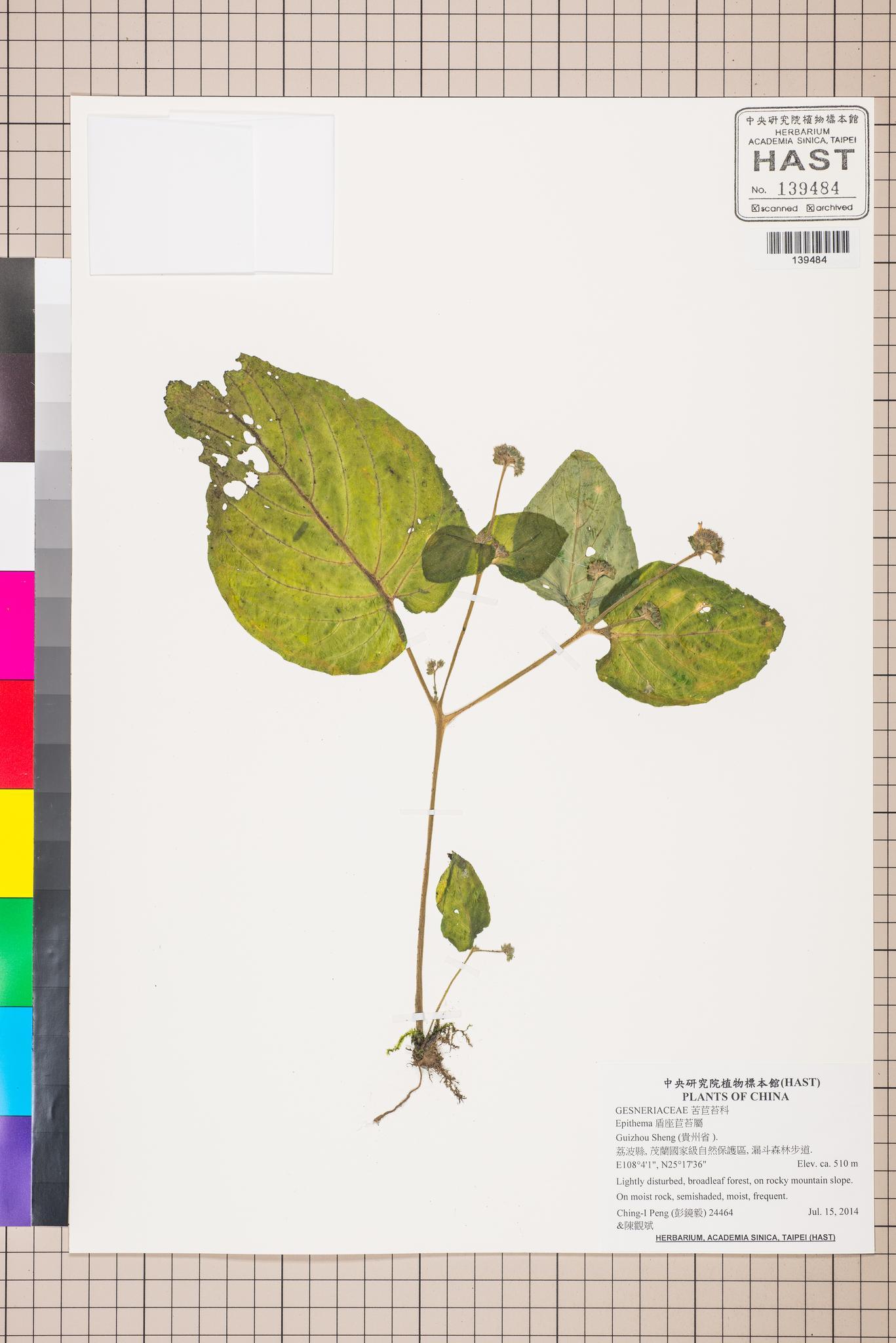 Sample image for viewer