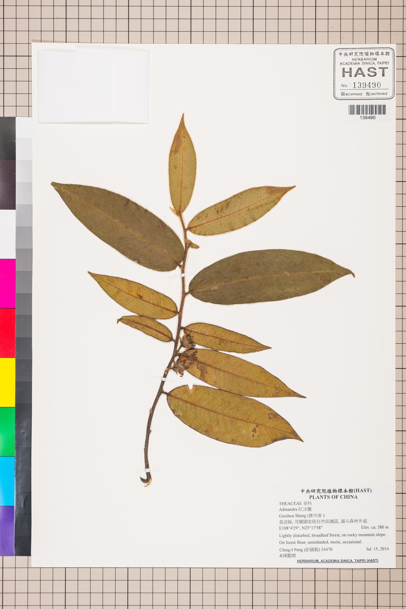 Sample image for viewer