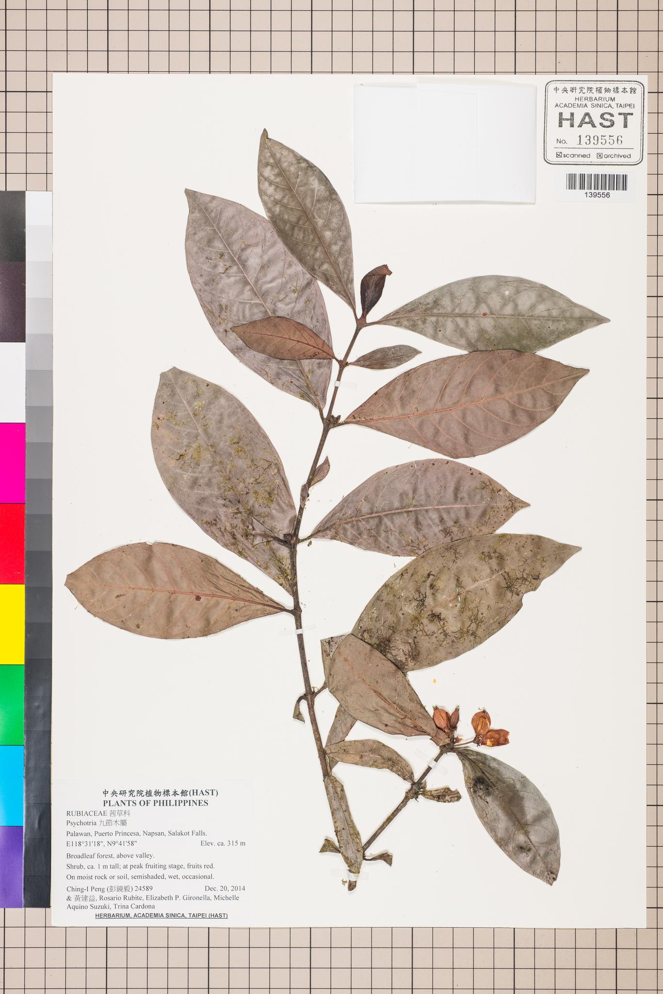 Sample image for viewer