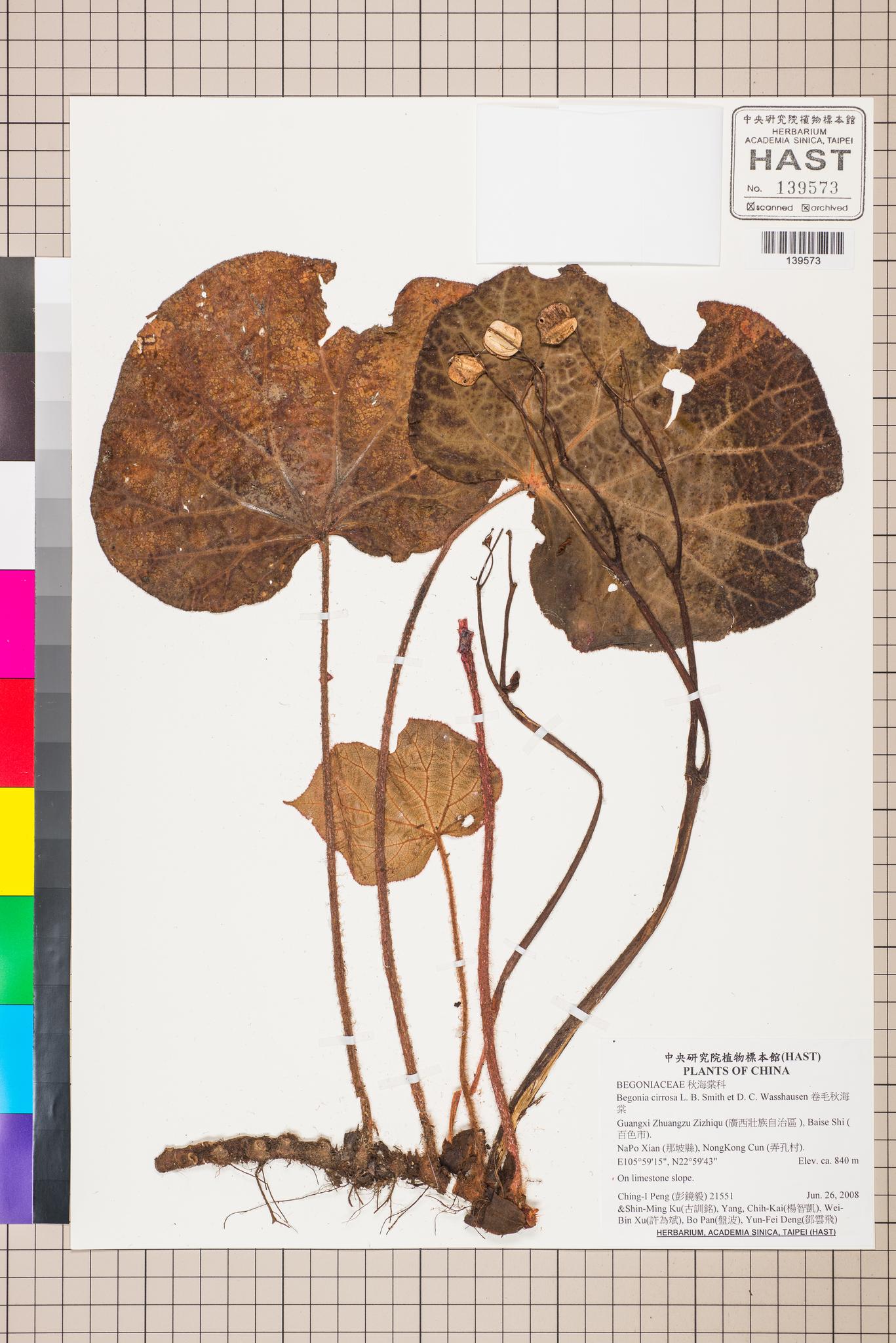 Sample image for viewer