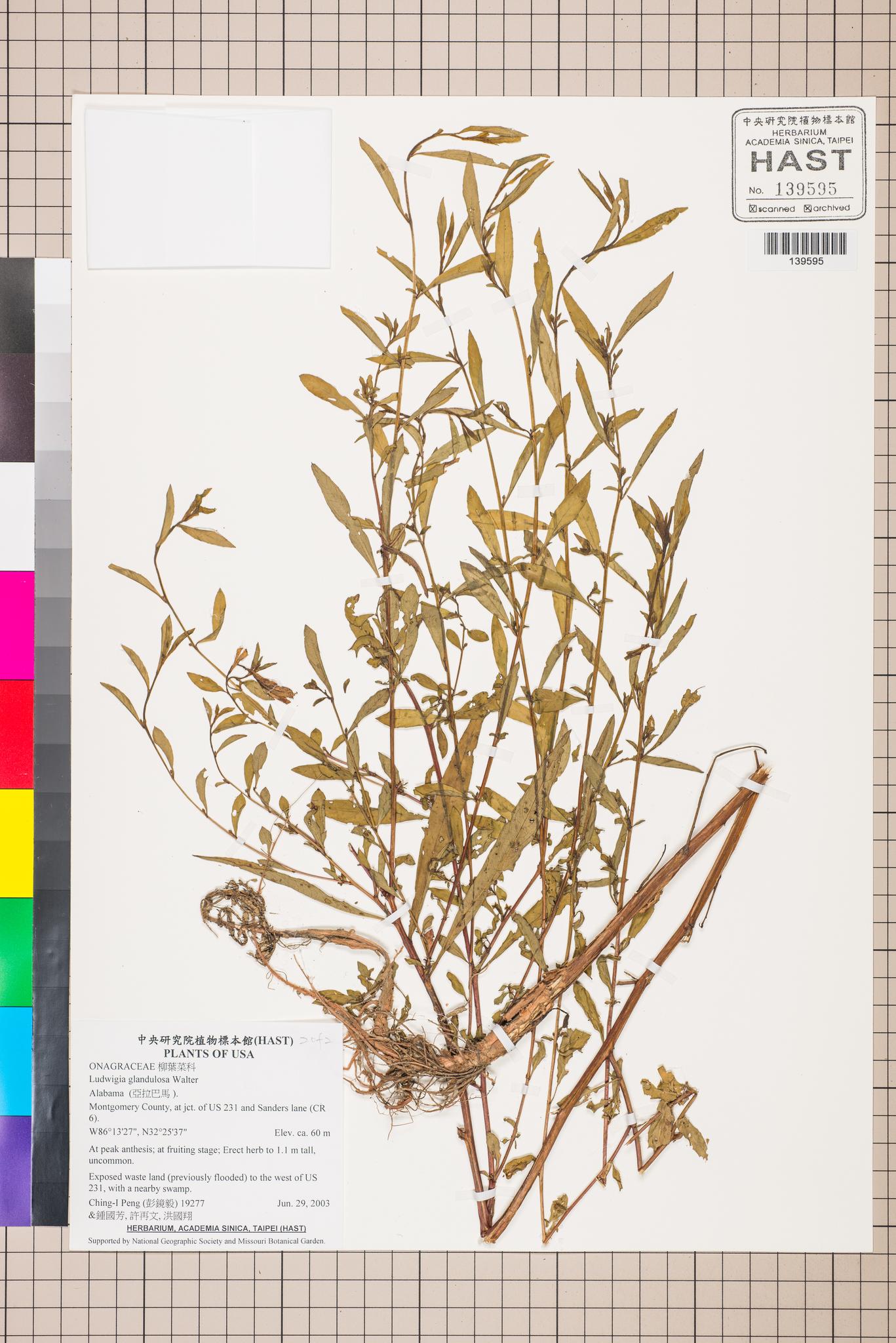 Sample image for viewer