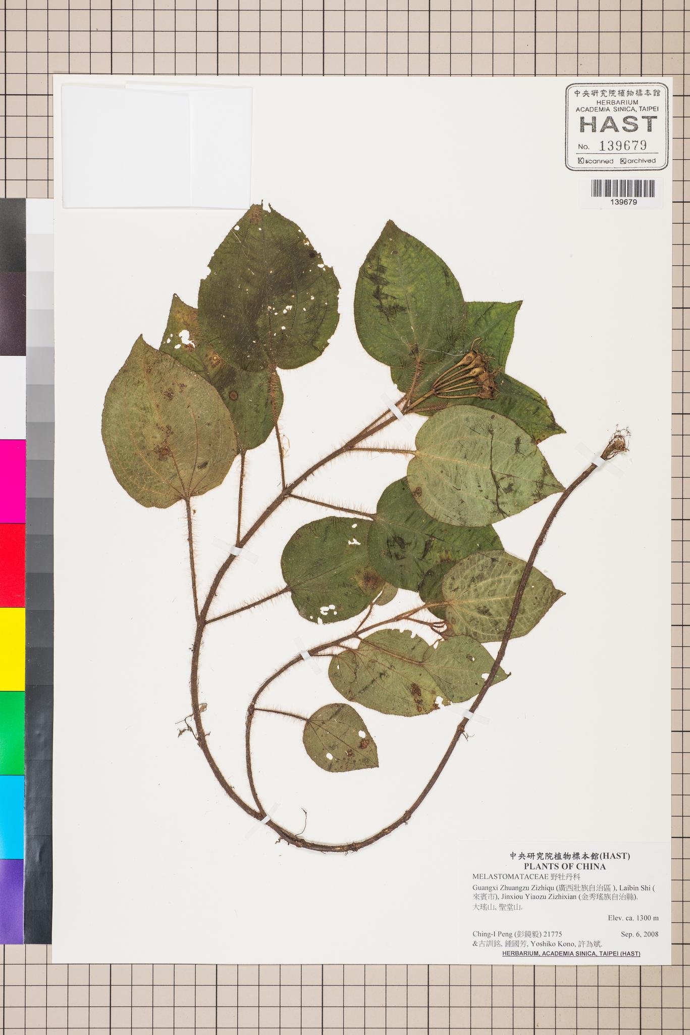 Sample image for viewer