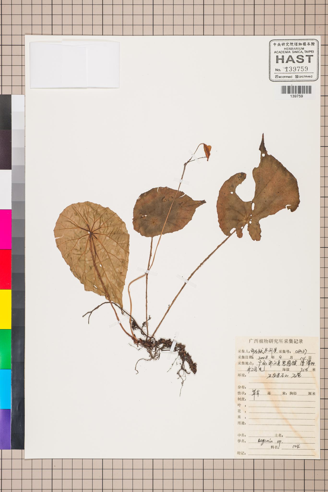 Sample image for viewer