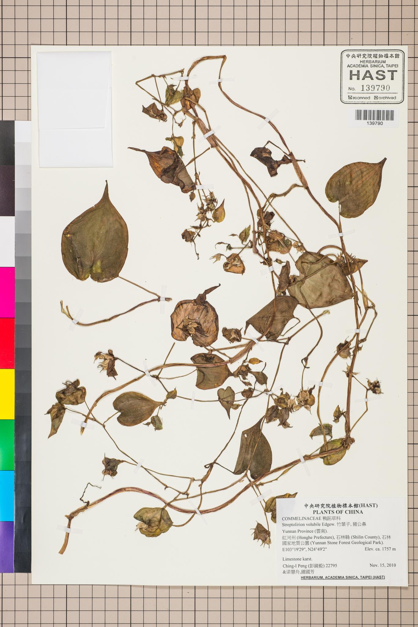 Sample image for viewer