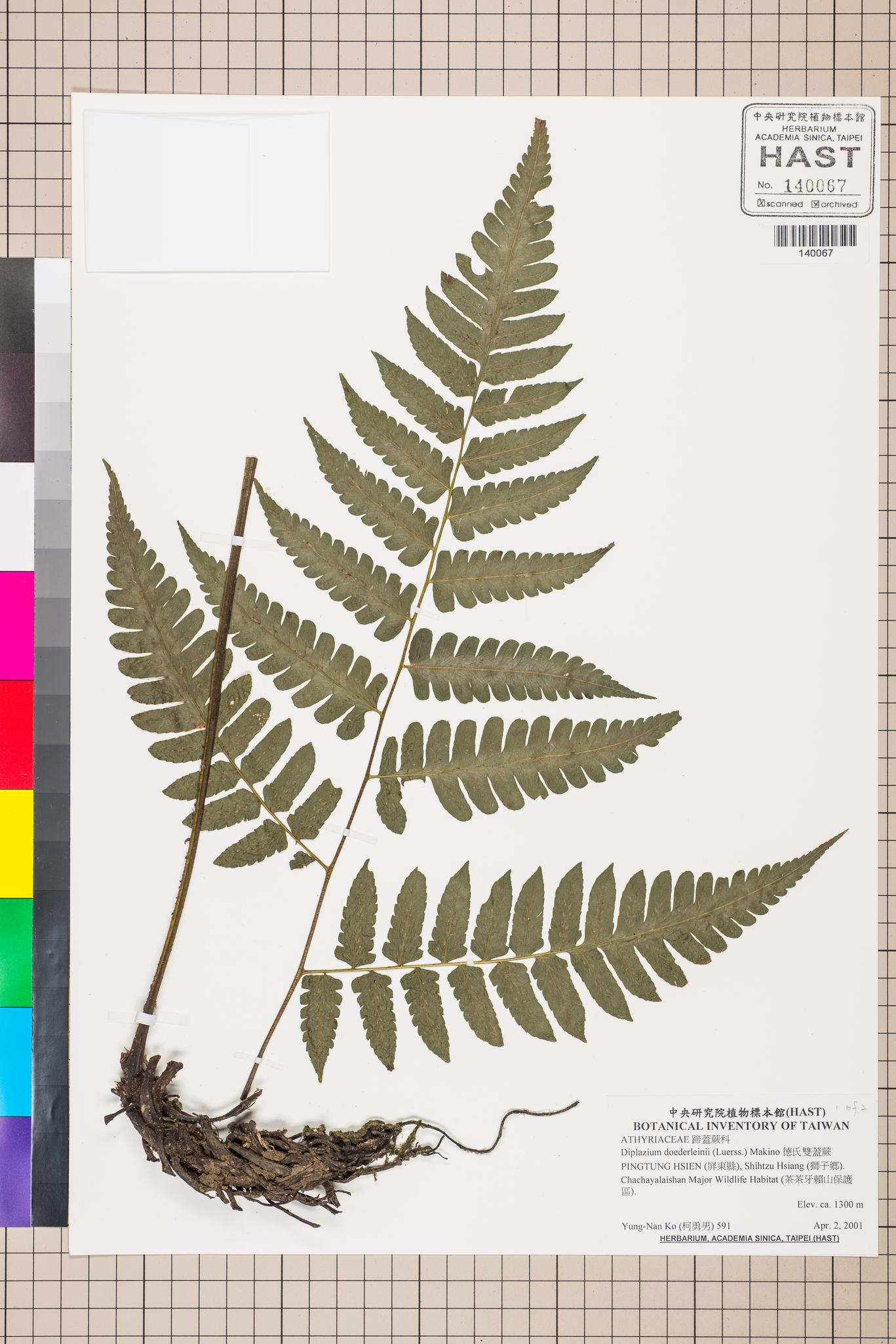 Sample image for viewer