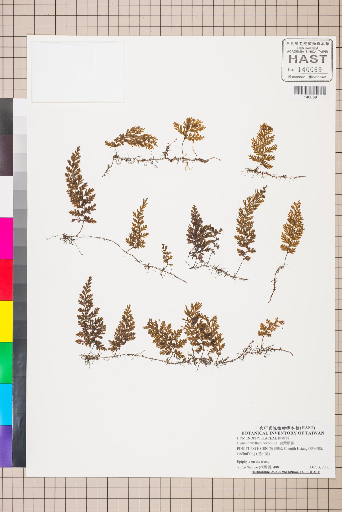 Sample image for viewer