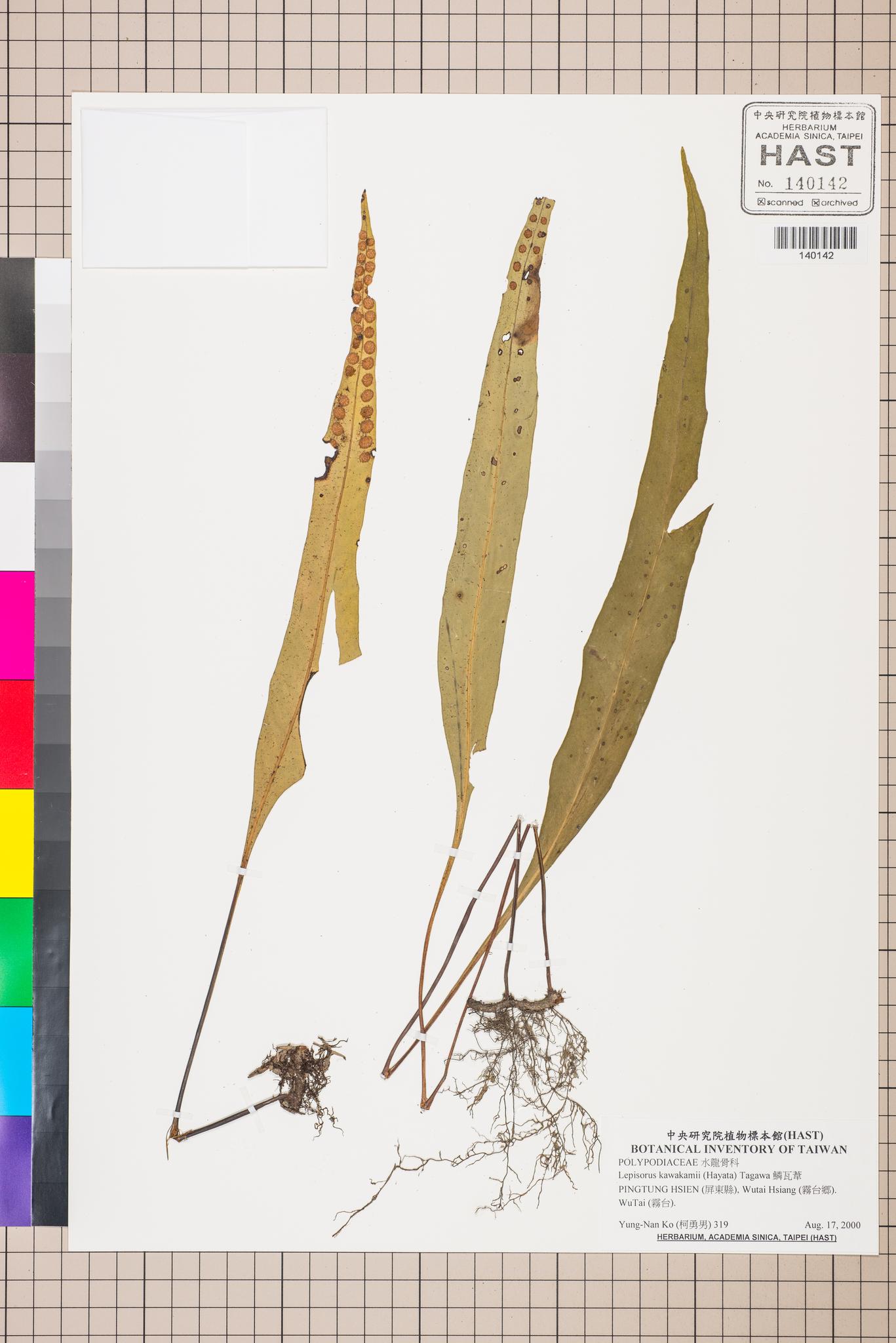 Sample image for viewer