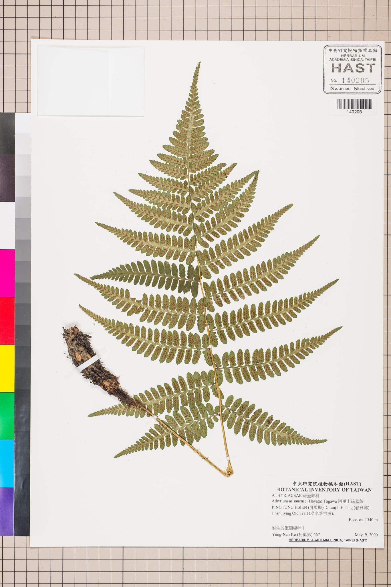 Sample image for viewer