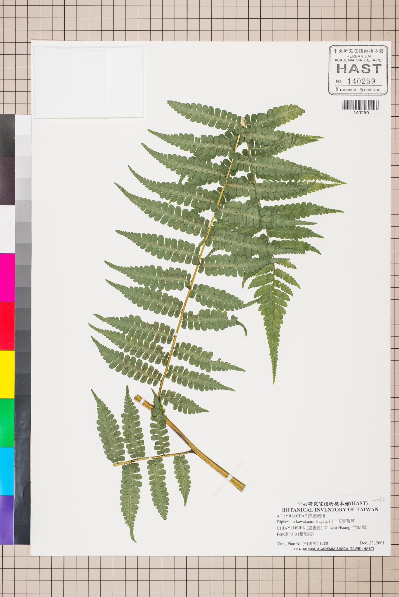 Sample image for viewer